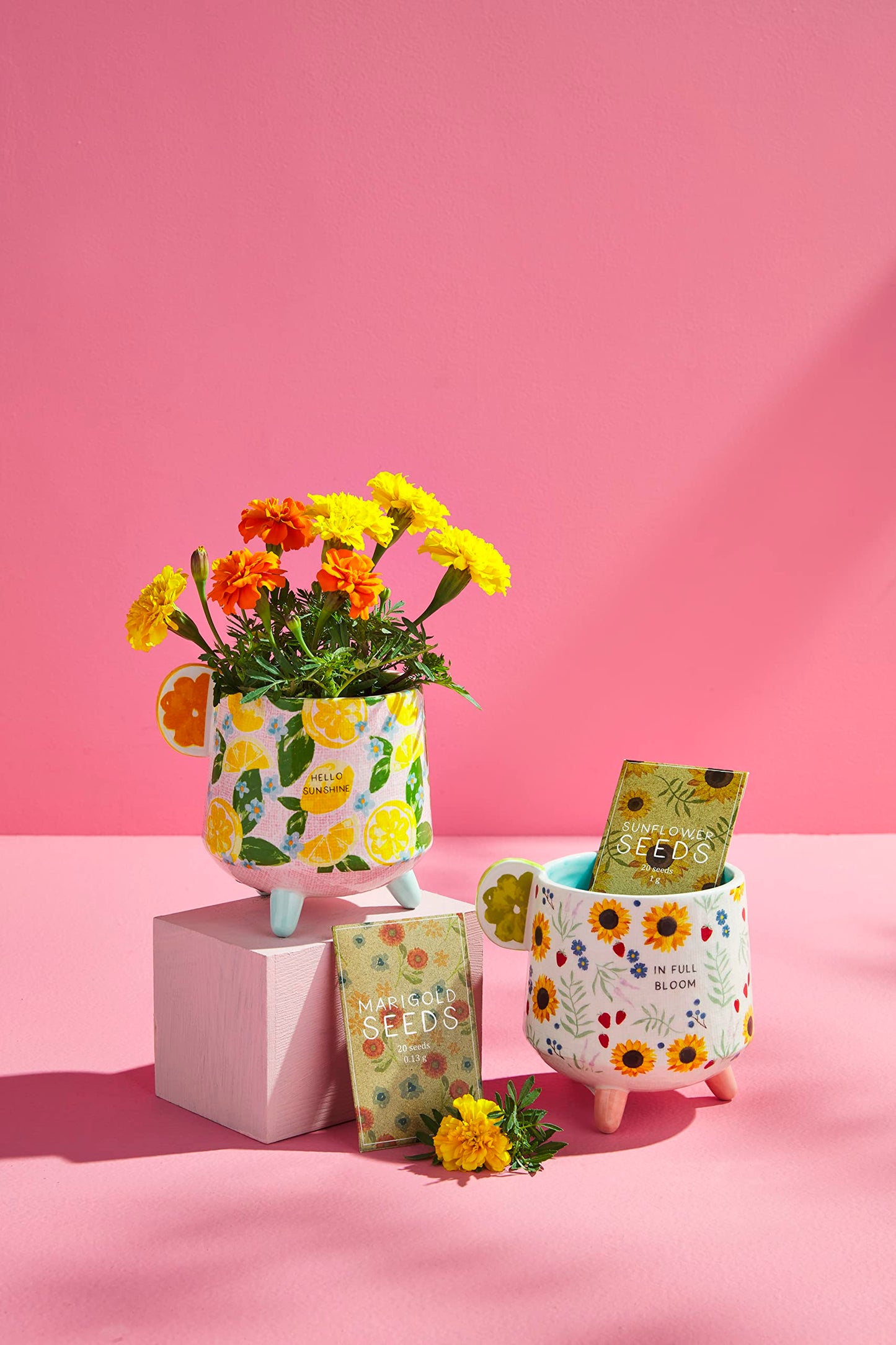 Mud Pie Full Bloom Floral Pot W Seeds, Pot 4 1/2" x 4 1/4" | Seeds 4" x 2 1/2"