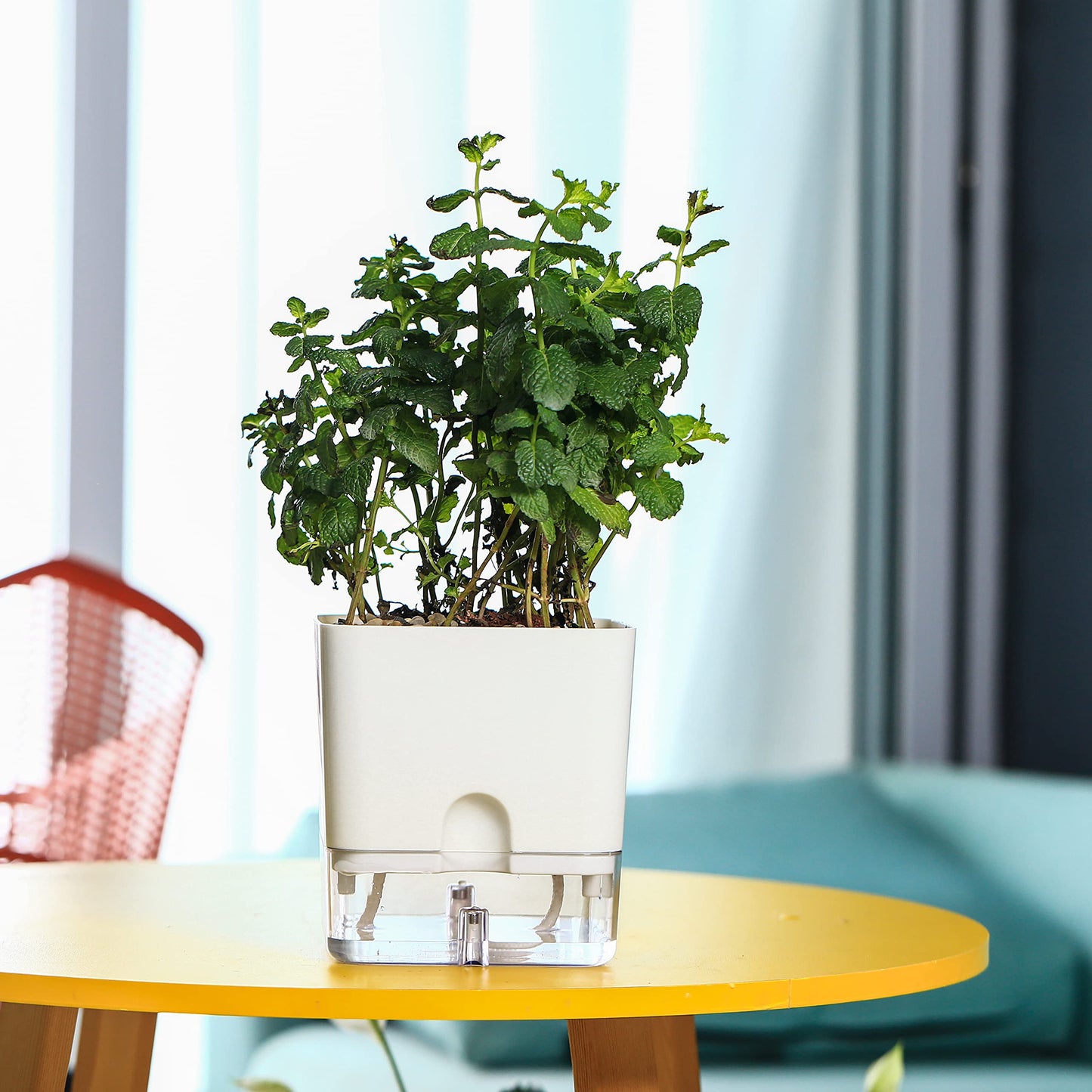 Planterhoma Self Watering Plant Pots for Indoor Plants 4.3 inch, 6 Packs Square Self-Watering Planters with Drainage Hole, White African Violet Pots for Devil's Ivy, Spider Plant, Orchid, Herb