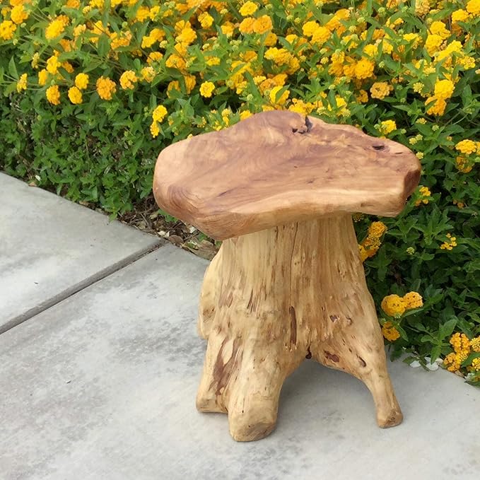 UKN Cedar Roots Naturally Shaped Mushroom Stool Side Table Stand Natural Cabin