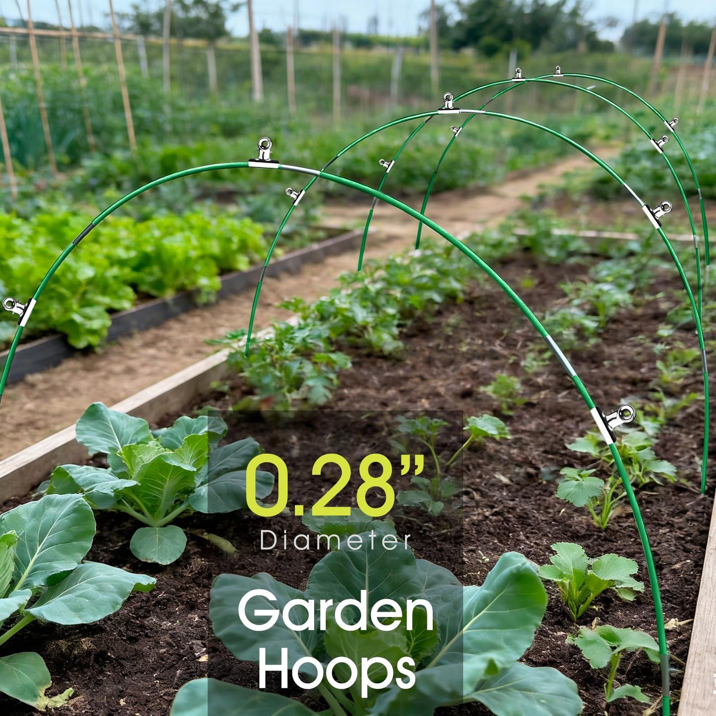 RIFNY 24 PCS Garden Hoops for Raised Beds, Greenhouse Hoops Kit Long Grow Tunnel for Row Cover, Rust-Free Fiberglass Garden Support Poles for Insect Mesh Netting Freeze Plant Cover (Green)