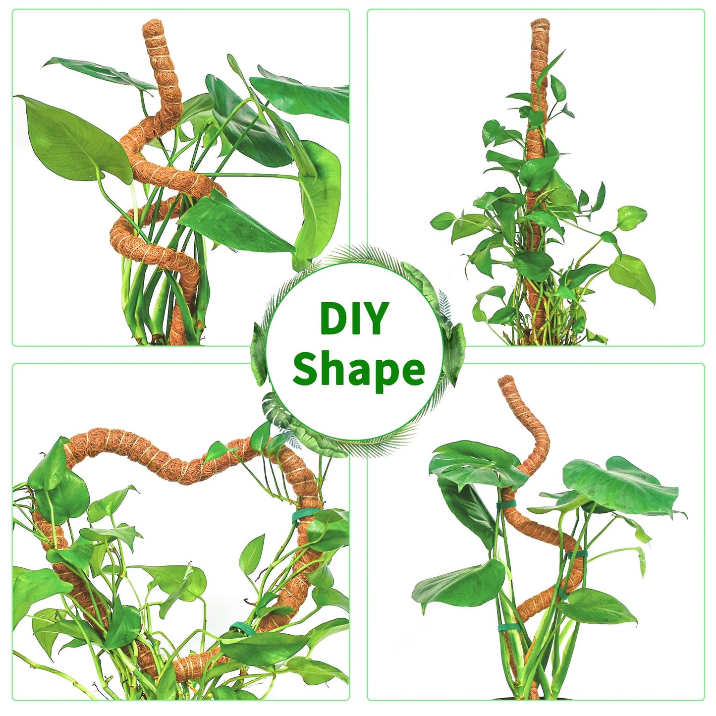 Dimpoo 2 Pack 48 Inch Moss Pole Monstera Plant Support, Coir Moss Poles for Climbing Indoor Plants, Bendable Plant Stake Trellis for Potted Plant, Pothos, Philodendron