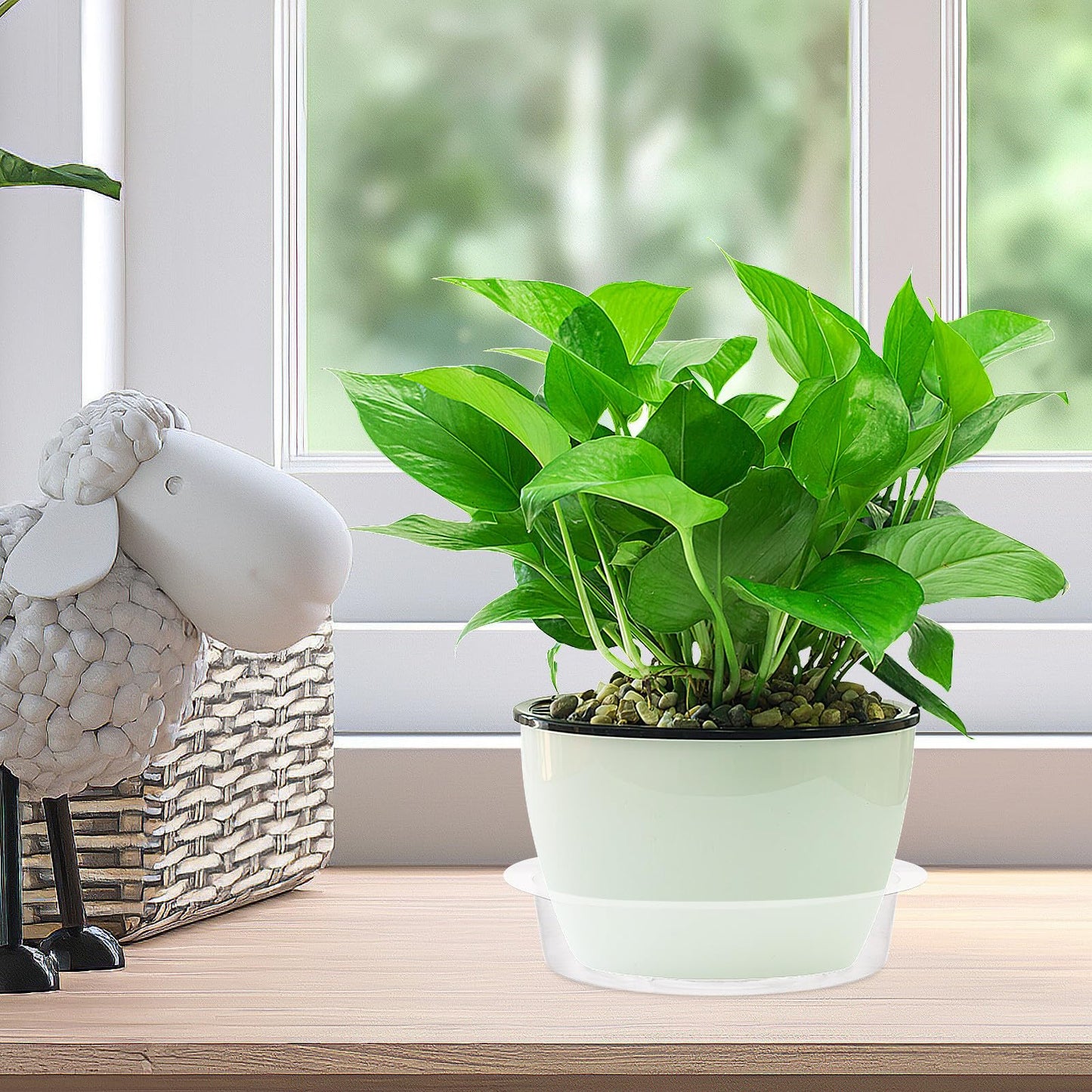 Tofficu 50 Pack 6 Inch Clear Plant Saucers, Plastic Drip Trays for Potted Plants, Flower Pot Tray Water Catcher, Indoor Outdoor Planter Drainage Plate to Protect Floors and Furniture