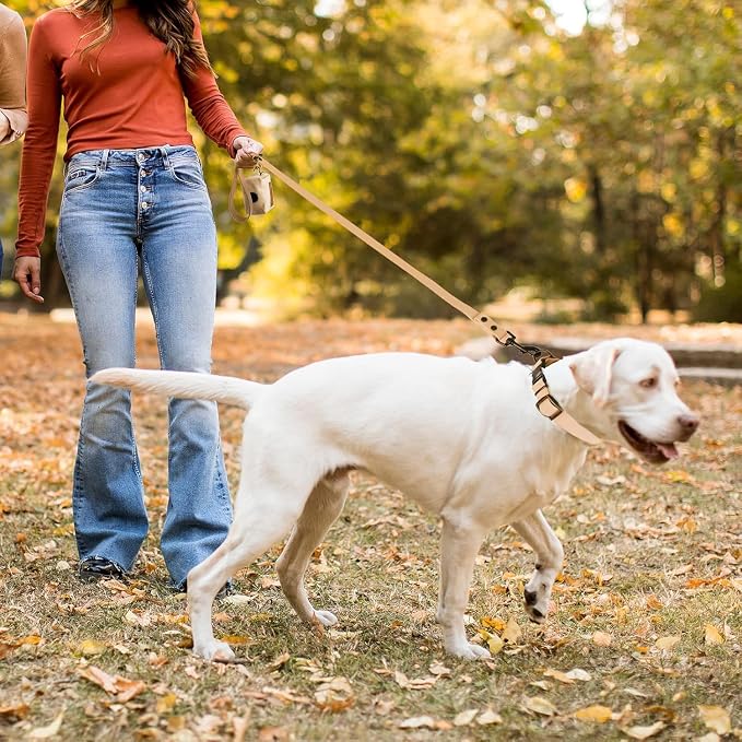 Wisedog Waterproof Dog Collar and Leash Set, S, Sand Color | Adjustable Puppy Collar, Cute Tag, 4FT Dog Leash, Includes Poop Bag, For Small Medium Large Dogs