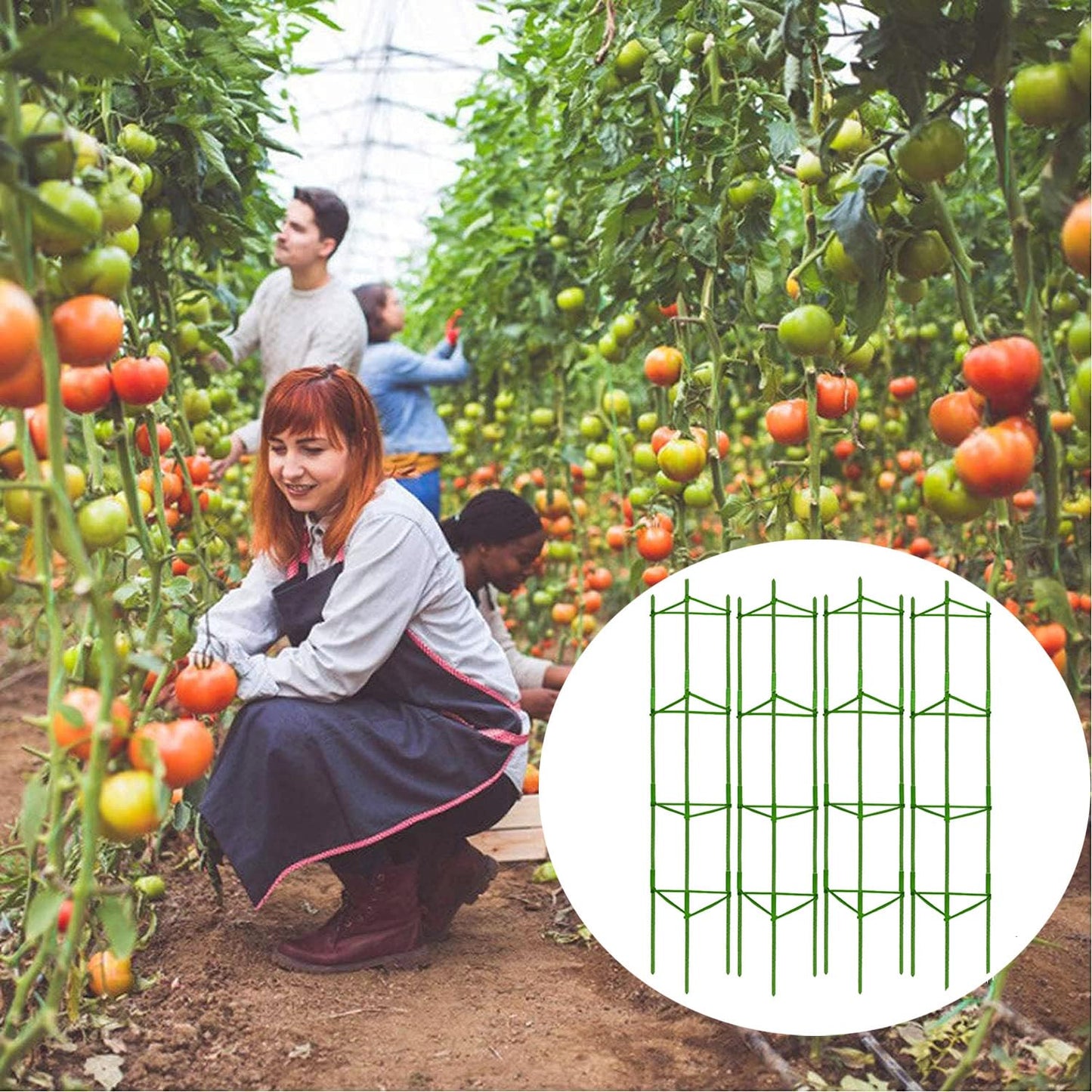 Moirsunt 66Inch Tall Tomato Cage for Garden, 4Pack Plant Support Heavy-Duty Garden Stakes, Tomato Trellis for Potted Plants, Height Adjustable Tomato Cage Trellis for Climbing Plants Flowers