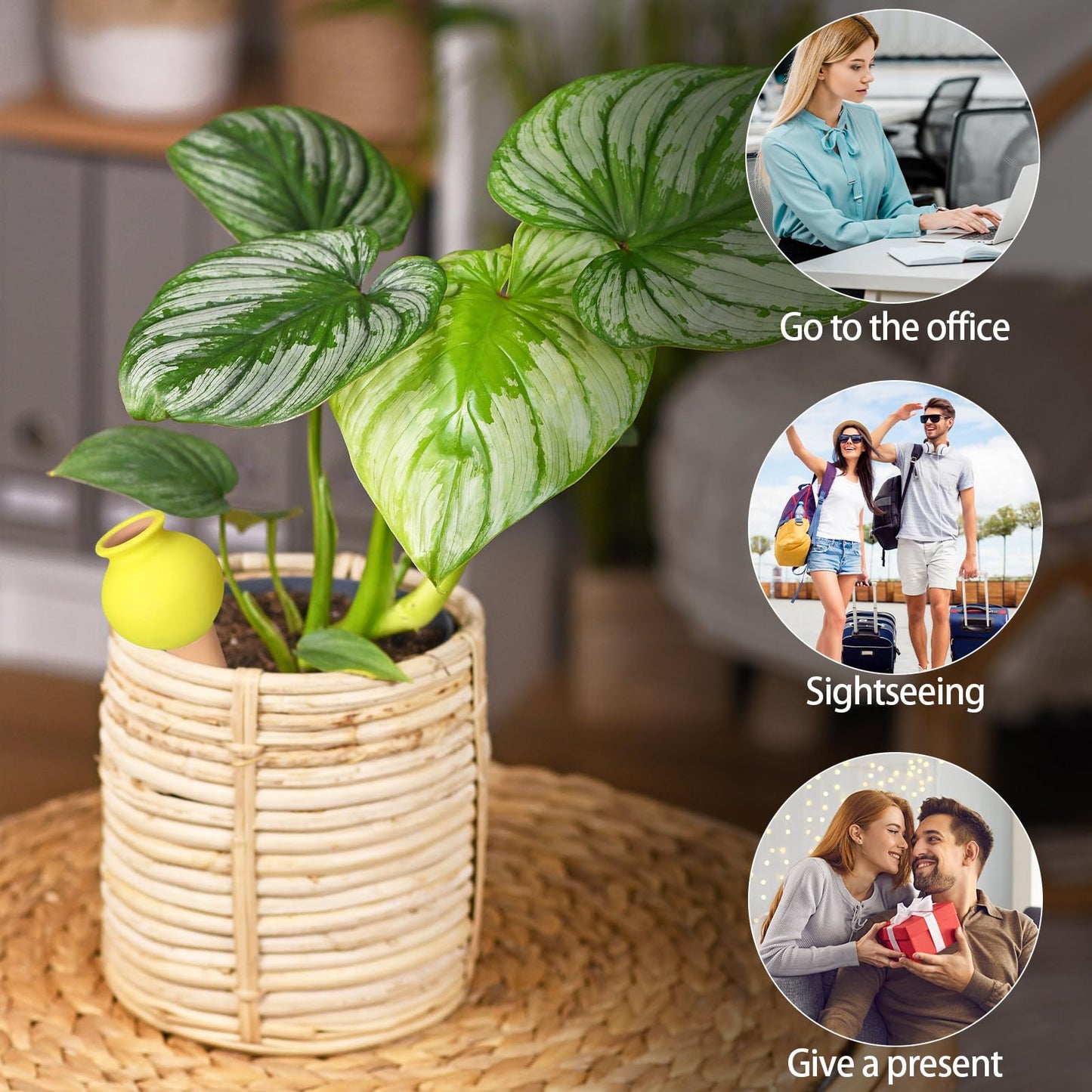 meiyimaoyi 8Pcs Terracotta Self Watering Devices Premium Self Ceramic,Automatic Watering Water Seepage Device for Vacation Care,Garden/Office/Outdoor/Indoor Plant Decoration