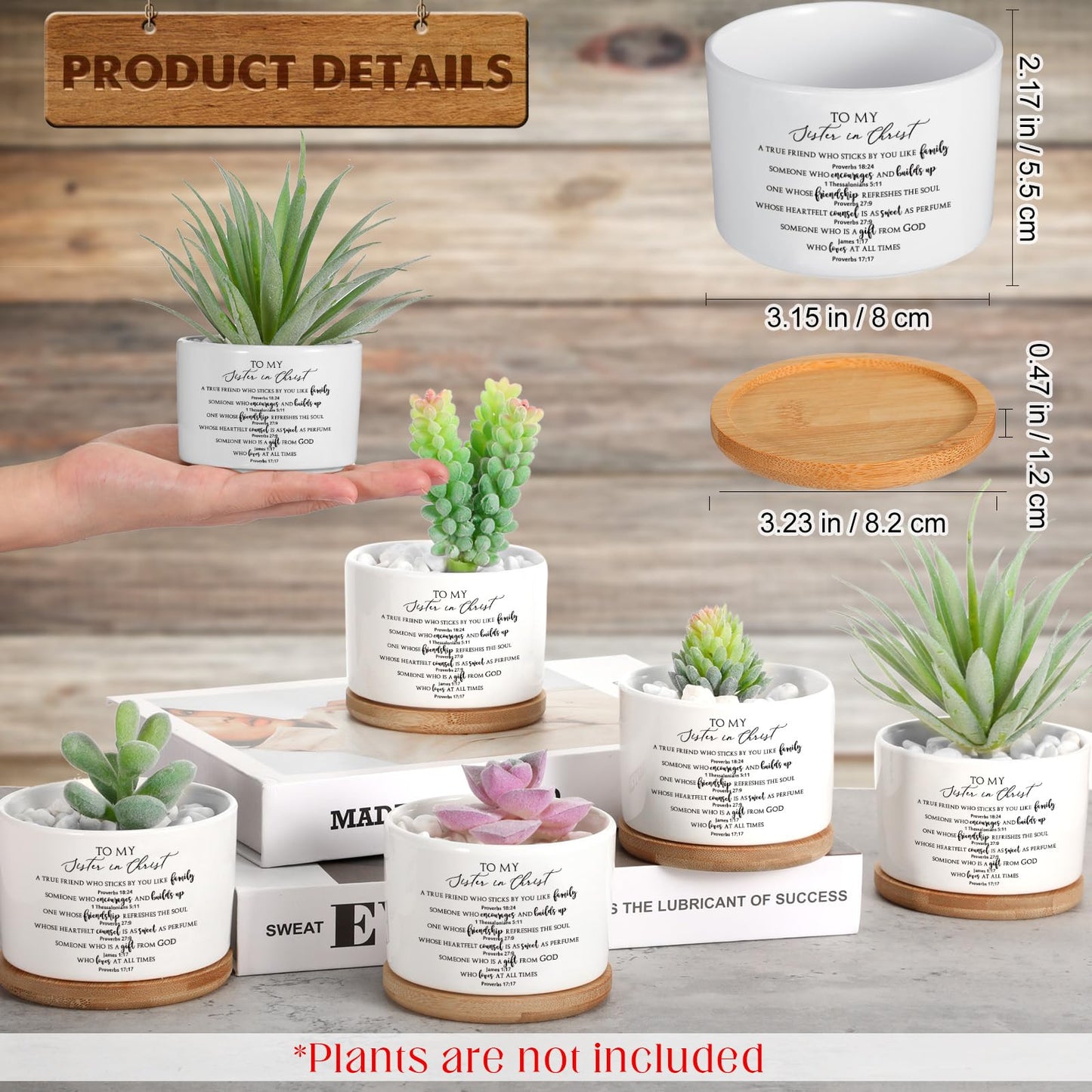 Sieral 6 Pcs Fathers Day Christian Rooted in Christ Small Succulent Pots with Bamboo Tray - 3.15 Inches Mini Ceramic Succulent Planter for Dad Religious Spiritual Bible Gifts, Plants Not Included