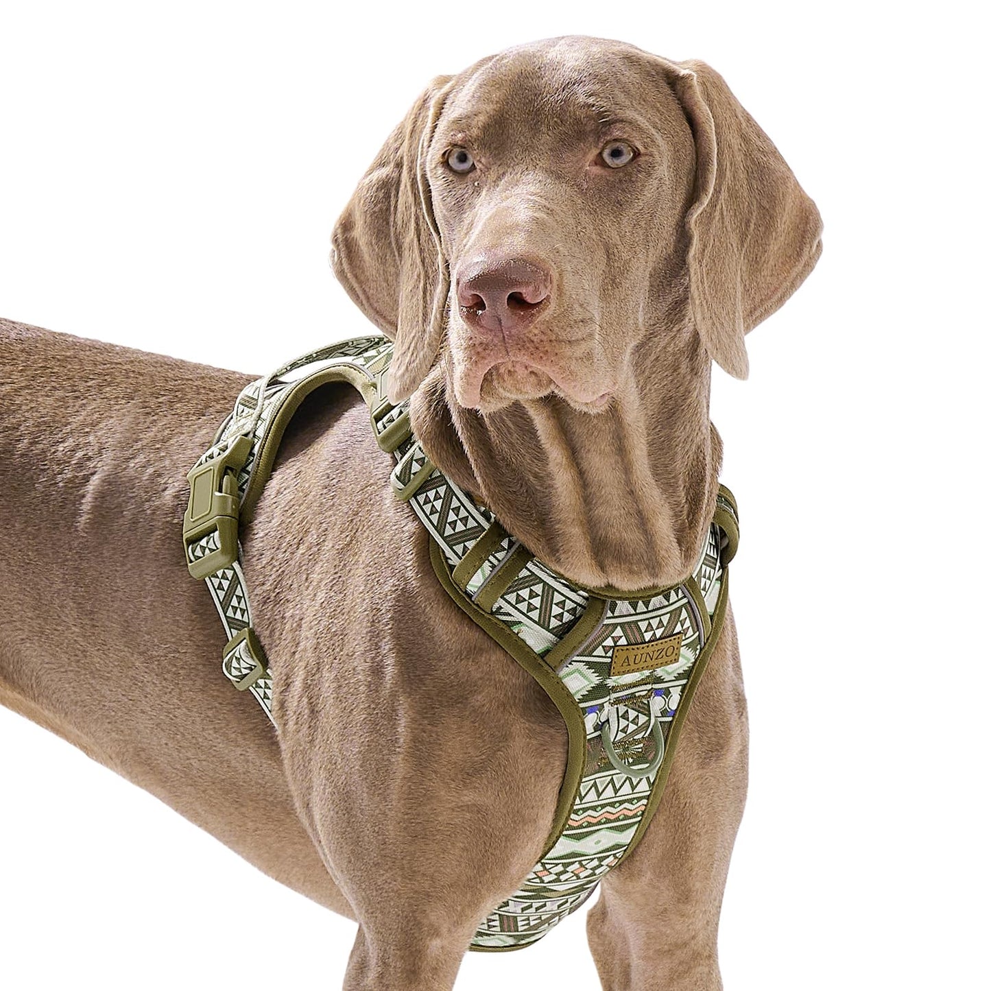 No Pull Dog Harness for Large Dogs with 2 Metal Clips, Easy On/Off with Neck Buckle, Heavy Duty Adjustable Puppy Vest, Breathable Pet Harness with Easy Control Handle, Green Ethnic L