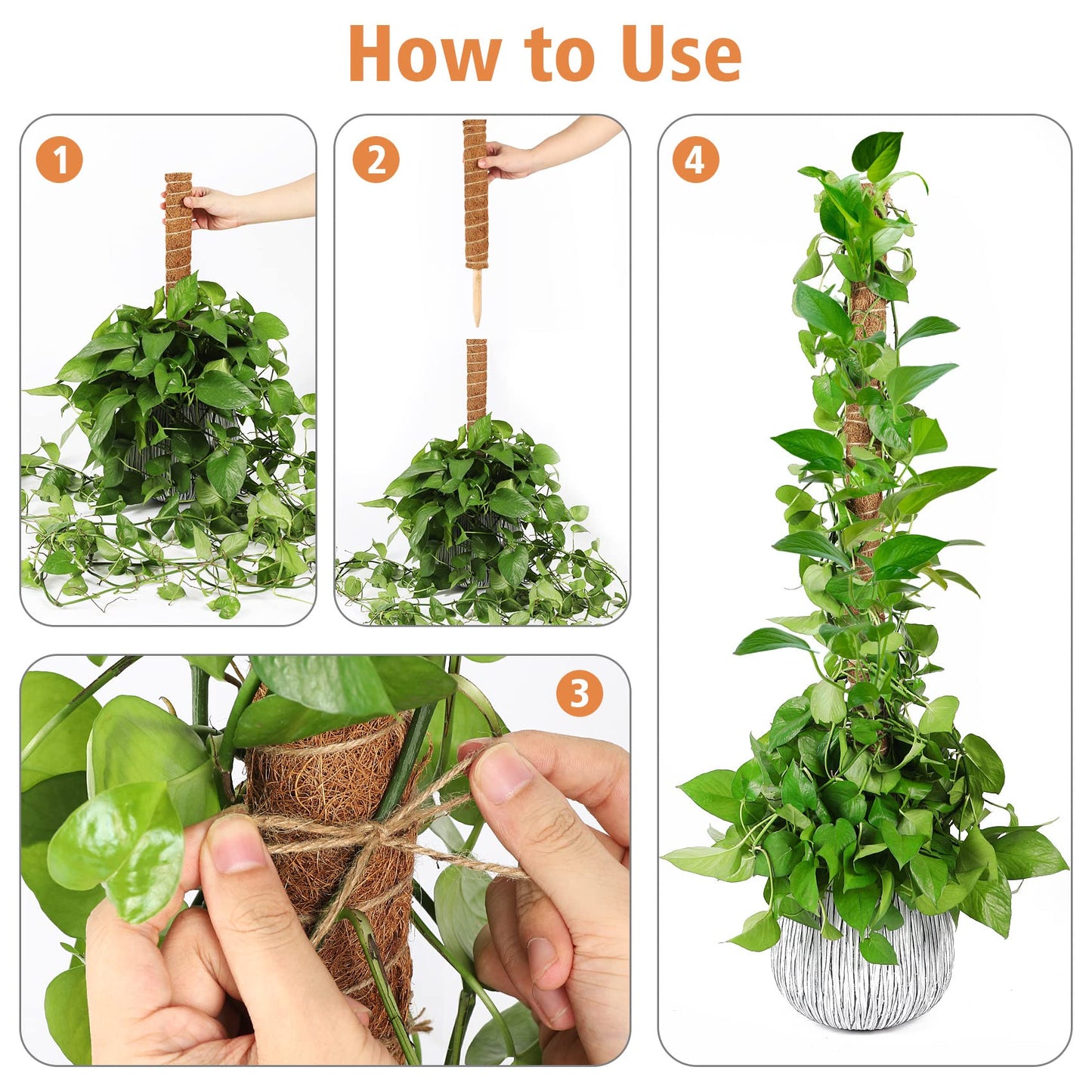 【4 Pack】 JJGoo Moss Pole, 17 inch Coco Coir Totem Poles Extending to 53 Inches, Plant Support Stick Plant Poles for Indoor Plants Climbing Plants Monstera, Sphagnum, Pothos
