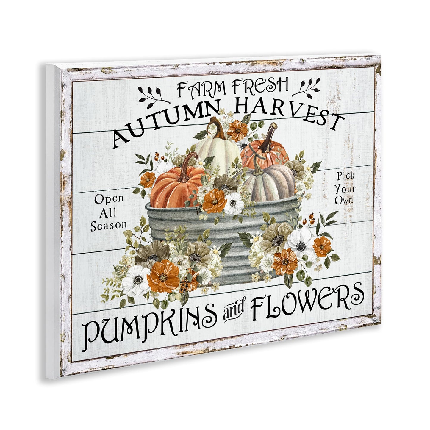 Stupell Industries Farm Fresh Harvest Pumpkin Wall Plaque Art, Design by Creatif Belle