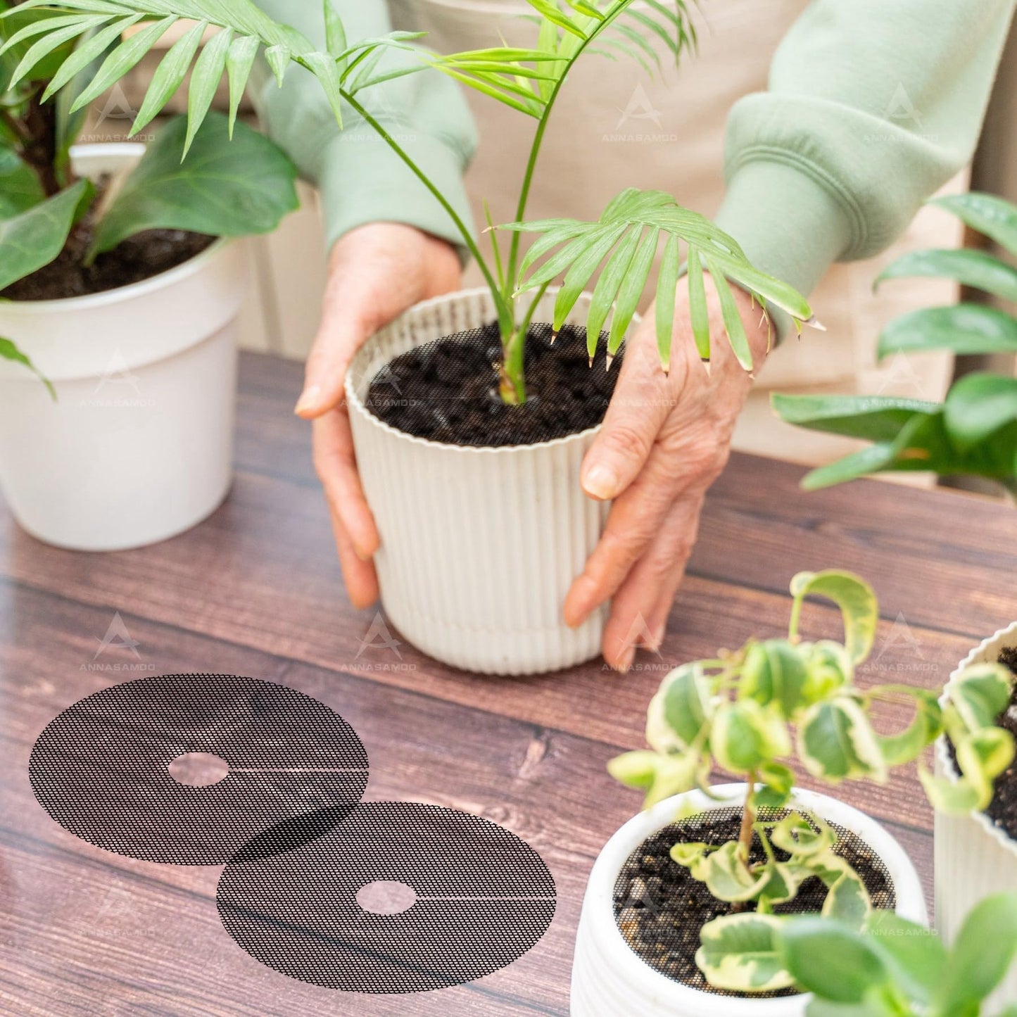ANNASAMDO, 10 Pack Plant Pot Cover 1.8 Inch Plant Protectors from Animals Cuttable Round Pot Grid for Indoor Outdoor Plants