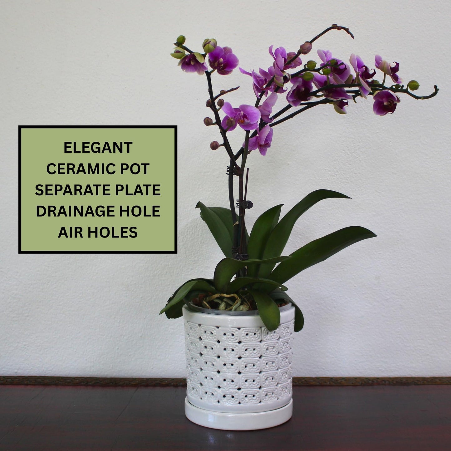 DESQUIGGLE White Ceramic Orchid Planter, 6 Inches Wide, Large Orchid Pots with Holes for Indoors Or Outdoors with Swirl Cut Out Pattern, Orchid Gifts