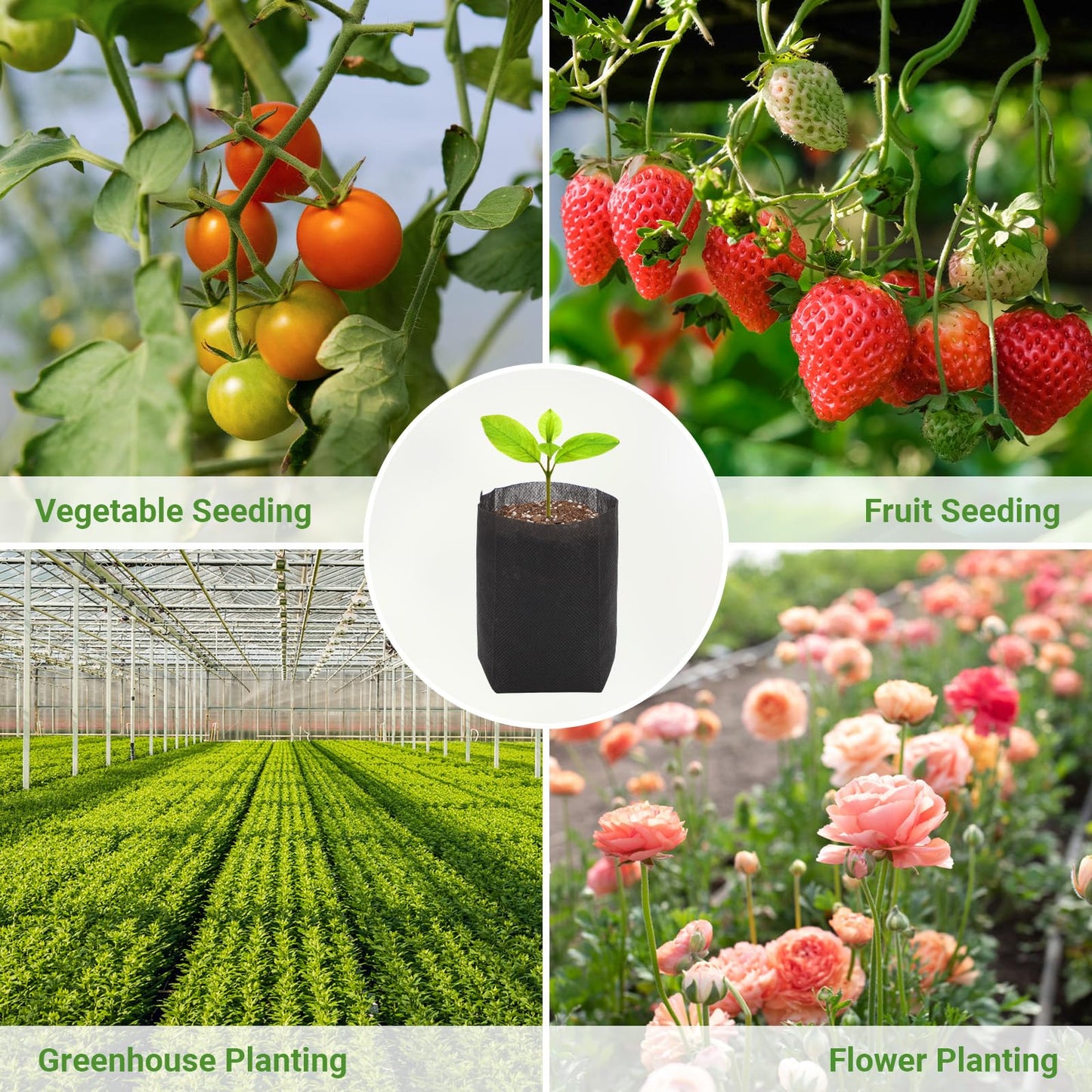 GREANER 200 PCS Biodegradable Grow Bags, Non-Woven Fabric Growing Pouches, Plant Nursery Bags for Planting, Grow Bags for Seed Starting, Soil Transplant, Home Garden Supply(5.5x5.7in)