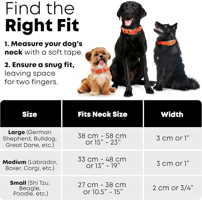 Regal Dog Products Small Orange Waterproof Dog Collar and Leash Set | Heavy Duty Double Buckle & D Ring - 5'ft Leash | Adjustable Biothane Dog Collar | Chew Resistant Waterproof Collar for Dogs
