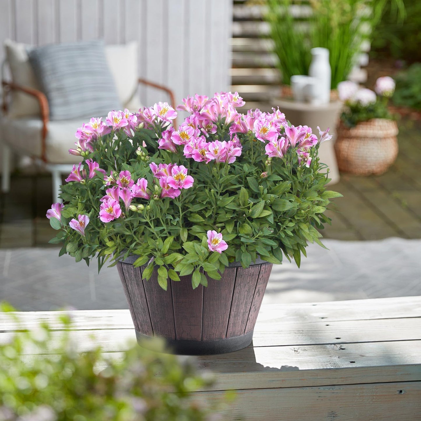 YI Barrel Planters Plant Pot Set of 6 Pack 6 Inch,Durable Plastic Flowerpot Mimics The Design of Wooden Whiskey Barrels,for Indoor & Outdoor Home Plants Essential for Home Gardening.