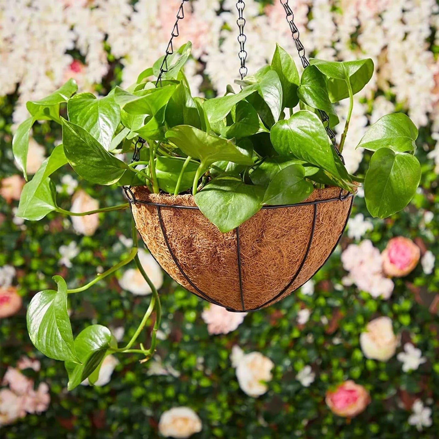 LCHUANG Hanging Baskets Planter for Plants - 2 Pack 12 Inch Metal Baskets with Coco Coir Liner, Hanging Flower Pots for Outside with Chain, Indoor Outdoor Garden Porch Decoration (12'' Pack of 2)