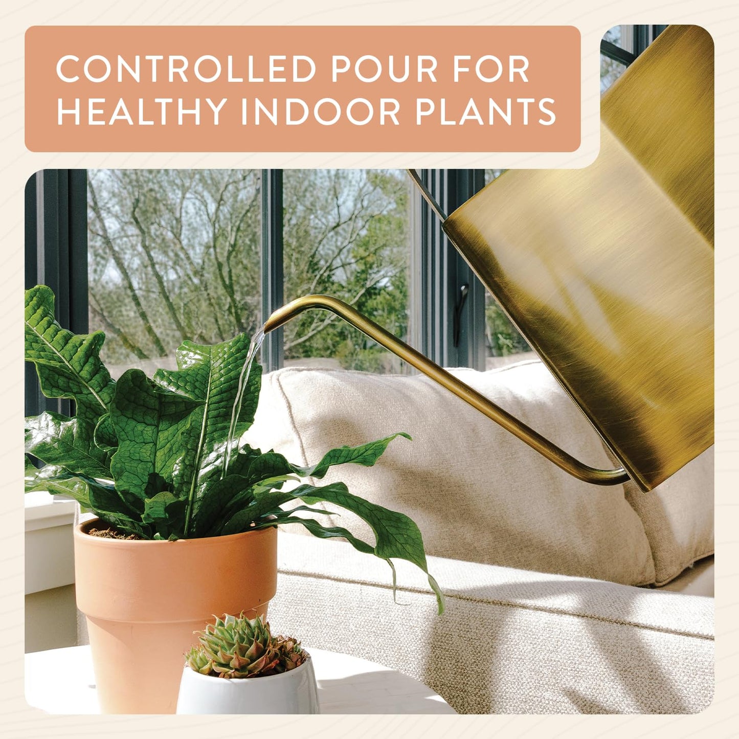 Modern Sprout Brass Finish Plant Watering Can - 3L Capacity - Long Spout Stainless Steel Vessel for Outdoor & Indoor Plants - Rust Resistant - Garden Accessory for Houseplants & Decorative Use