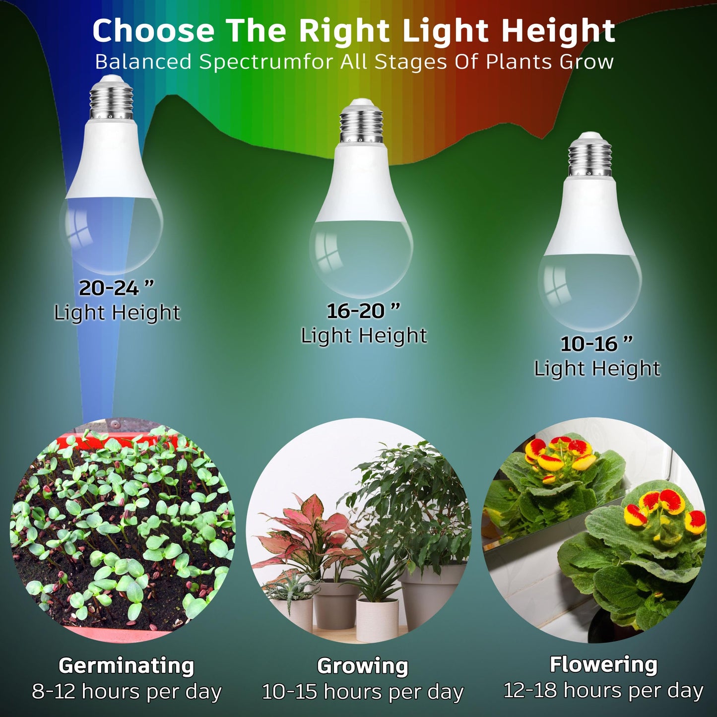 Grow Light Bulbs for Indoor Plants Full Spectrum,E26 A19 Grow LED Lamp Bulb 10W with Balanced Spectrum 5000K Red Blue for Seeds Greens Laboratory,School,Greenhouse, Indore Garden, Hydroponic,3Pack