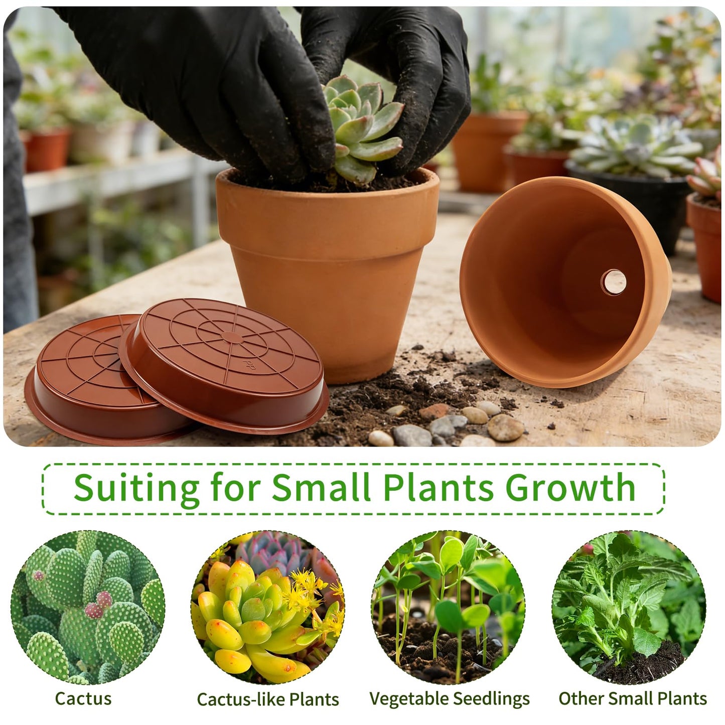 Seuqhck 6 Pack 6 Inch Terracotta & Clay Pots with Saucer for Plants, Breathable Clay Planters Flowerpot Terra Cotta Flowerpot with Drainage Hole for Indoor Outdoor Gardening Succulents Home Decor