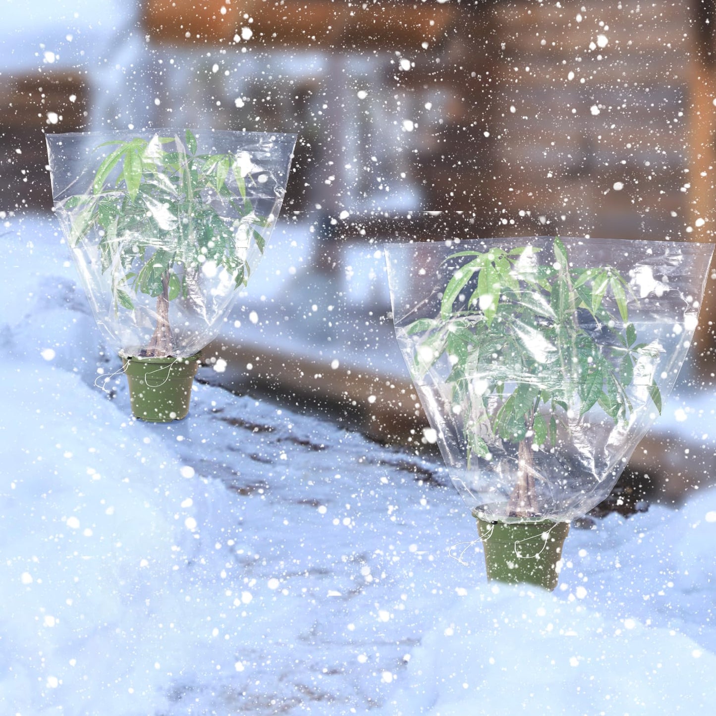 6 Pcs Winter Plant Cover Freeze Protection - 39" x 39" Plastic Plant Frost Bags with Drawstring, Transparent Waterproof Plant Shelter Coverings for Outdoors Garden Plants Shrubs Sapling Bushes