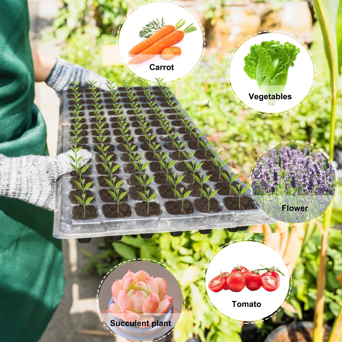 Oscorna (20Pack) 72-Cell Seed Starter Trays with Dibber, 10 Pack Nursery Starting with Base Tray, 72 Hole Soil Digger for Setting Out Quickly, Seedling Planting Tray, Germination Kit Trays Reusable