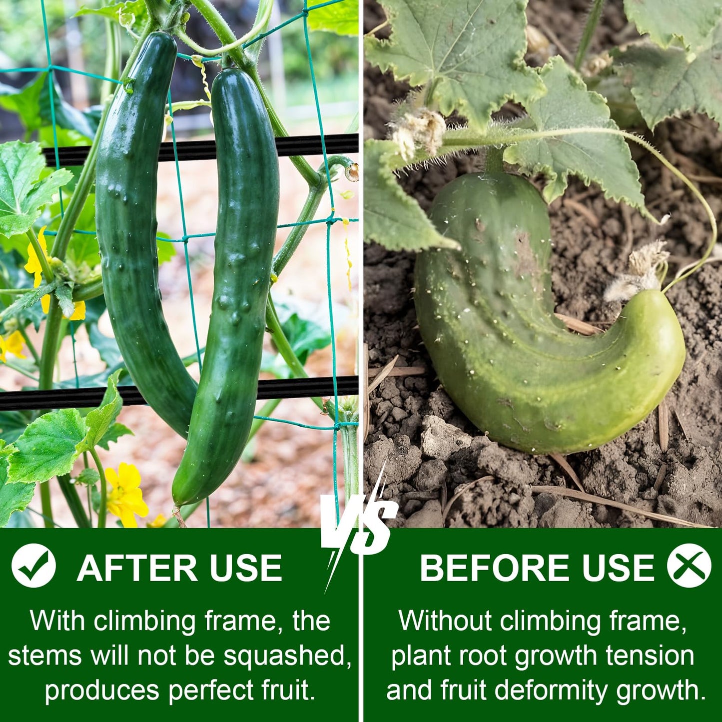 48 x 48 Inch Garden Cucumber Trellis Vegetable Arch Trellis Green Bean Pea Grape Tomato Squash Trellises for Raised Bed Climbing Plants Outdoor