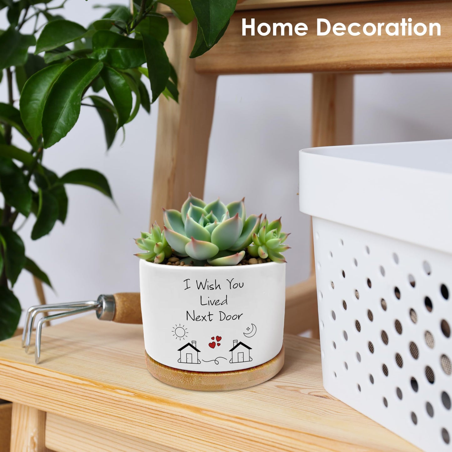 ROXMART Gifts for Best Friend Woman Plant Pots, Friendship Bestie BFF Gifts Succulent Planters, I Wish You Lived Next Door Ceramic Plant Flower Pots for Home Office Desk Table Shelf(No Plants)