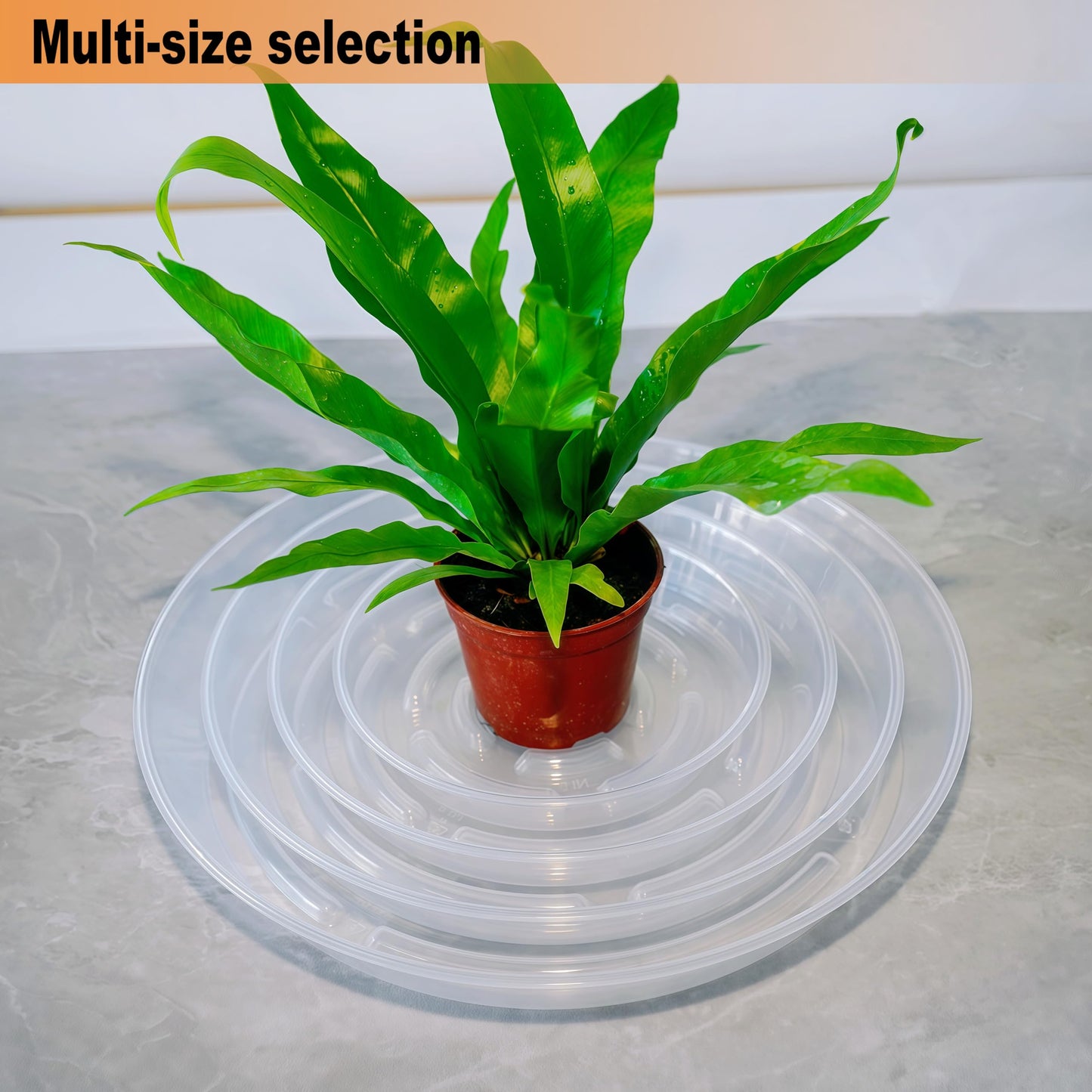 MSKIAUO 2 Packs Plant Saucer Pot Tray, 14 inch Clear Flower Planter Saucers and Drip Trays, 13 inch Plastic Flower Planter Saucers for Indoors Outdoors, Heavy Durable Plant Plate Water Catcher