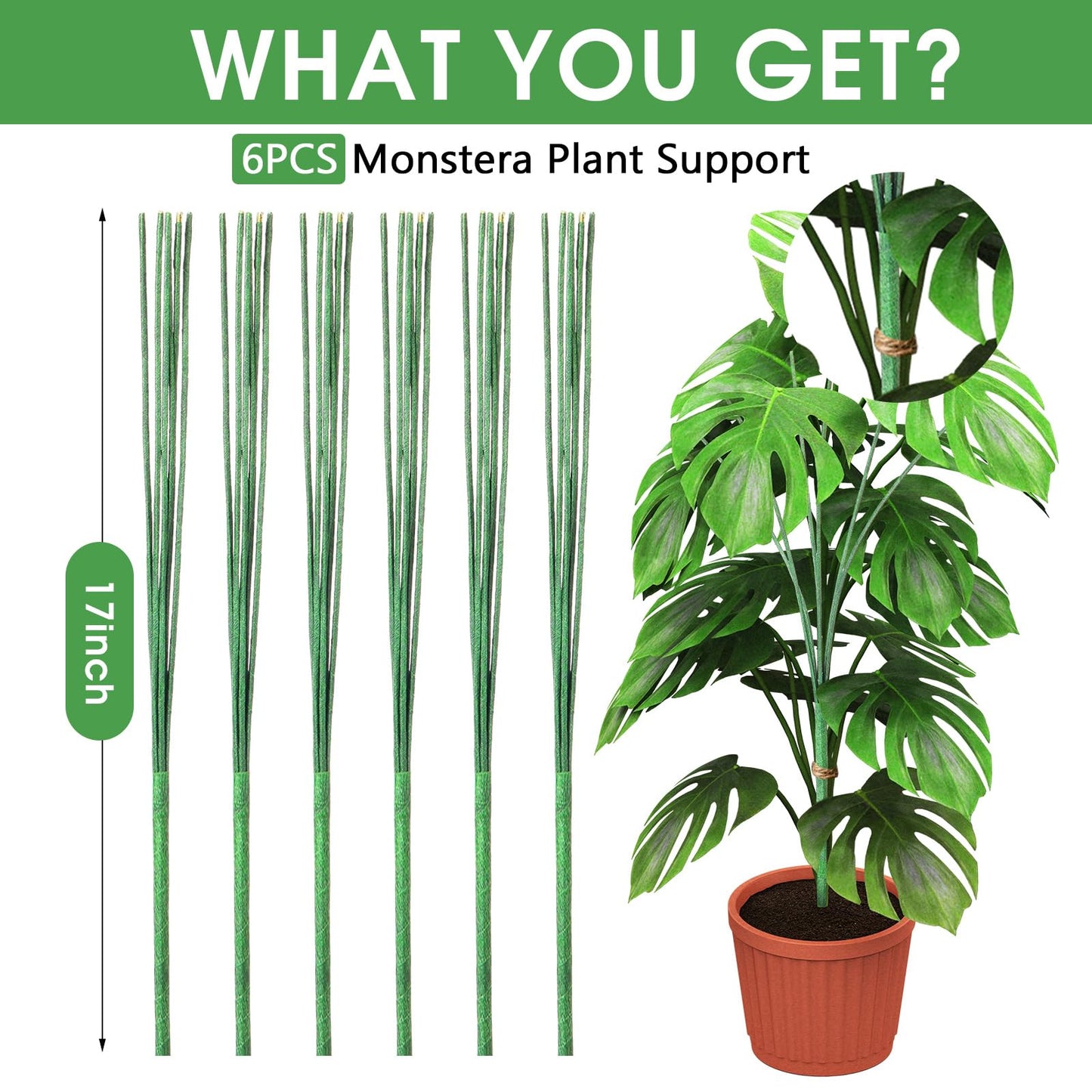 6 Pack 17'' Climbing Plant Support Stakes Moss Pole Monstera Plant Climbers Trellis Plants Stem Supports for Indoor Outdoor Climbing Potted Plants Flower Grow Upwards Green