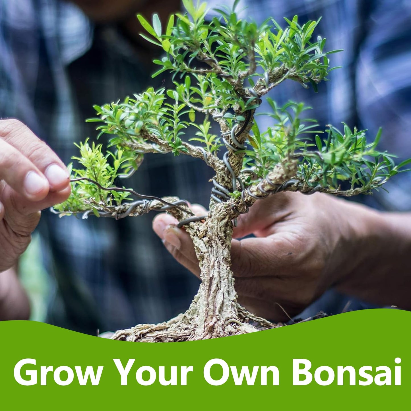 Bonsai Tree Kit, Bonsai Starter Kit with Seeds & Tools, Tree Live Plants Indoor, Gardening Gifts for Women Men Mom Father Plant Lover, Birthday Gifts for Women