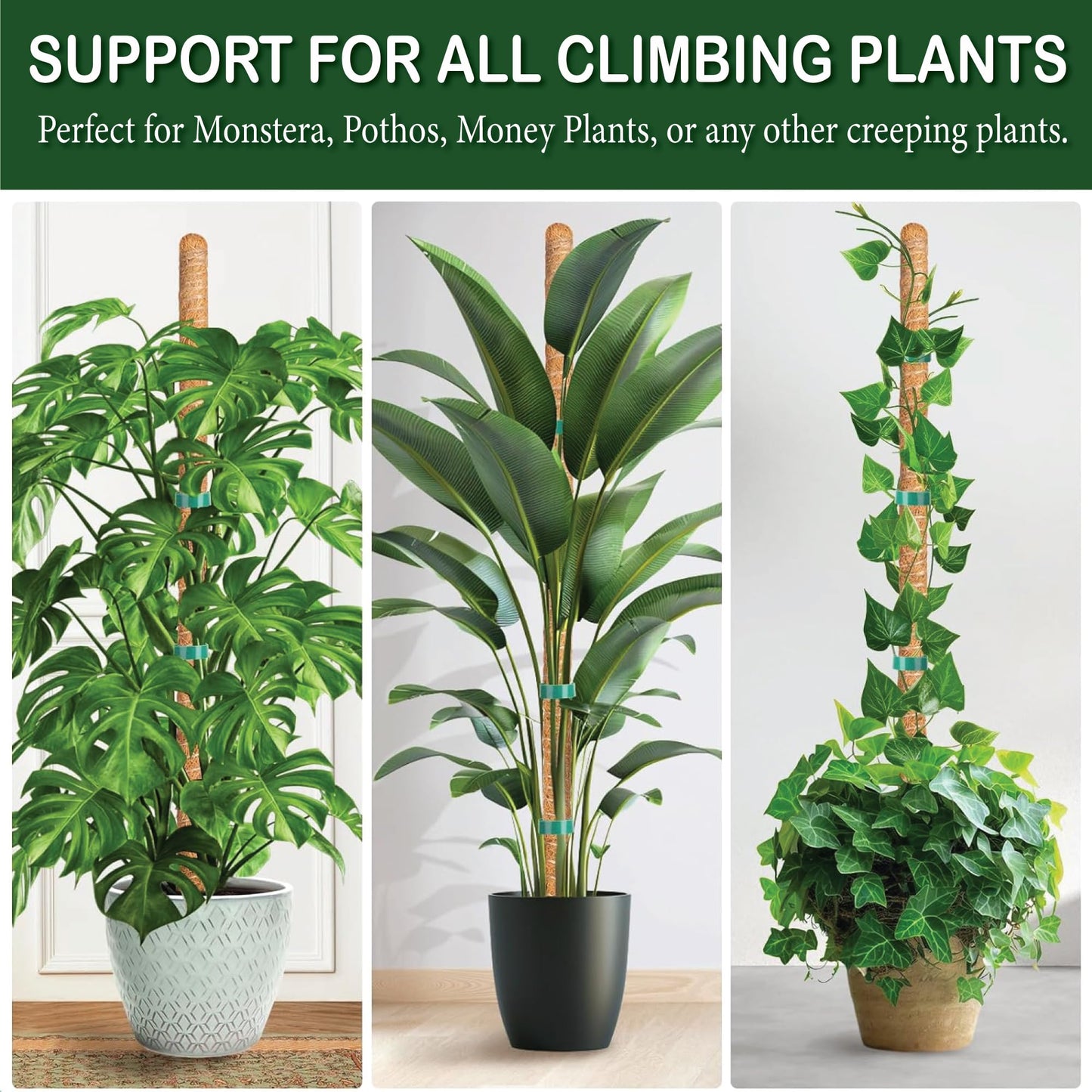 MONTIVO 3 Pack 28 Inch Moss Pole, Stackable Moss Poles for Climbing Plants Monstera, Tall Plant Sticks Accessories, Large Coir Monstera Plant Support Stakes for Potted Plants Indoor, Pothos