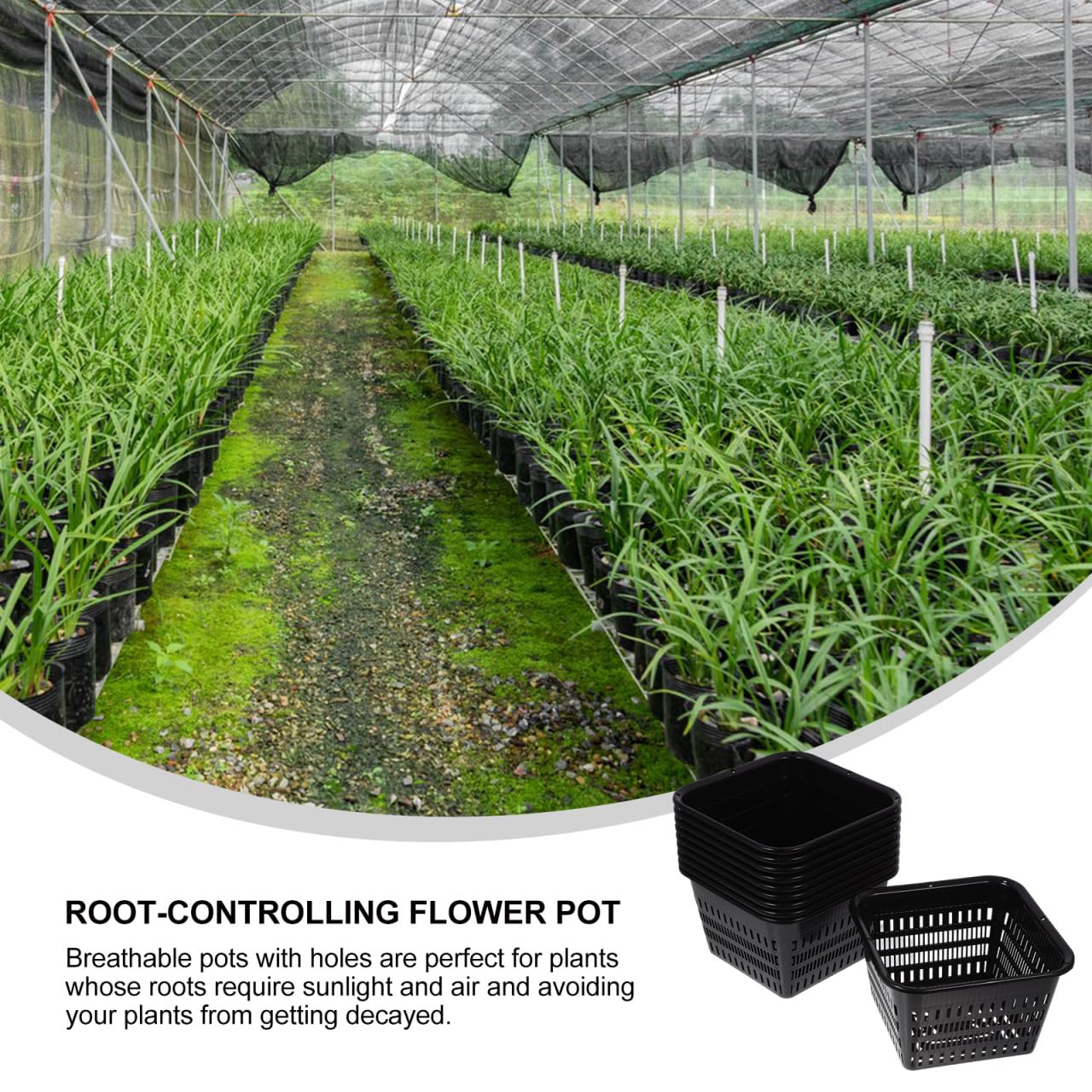 UPKOCH 10 Pack Square Net Pots for Hydroponics, Thick Plastic Orchid Pots with Holes, Black Mesh Slotted Cups for Pond Plant Drainage