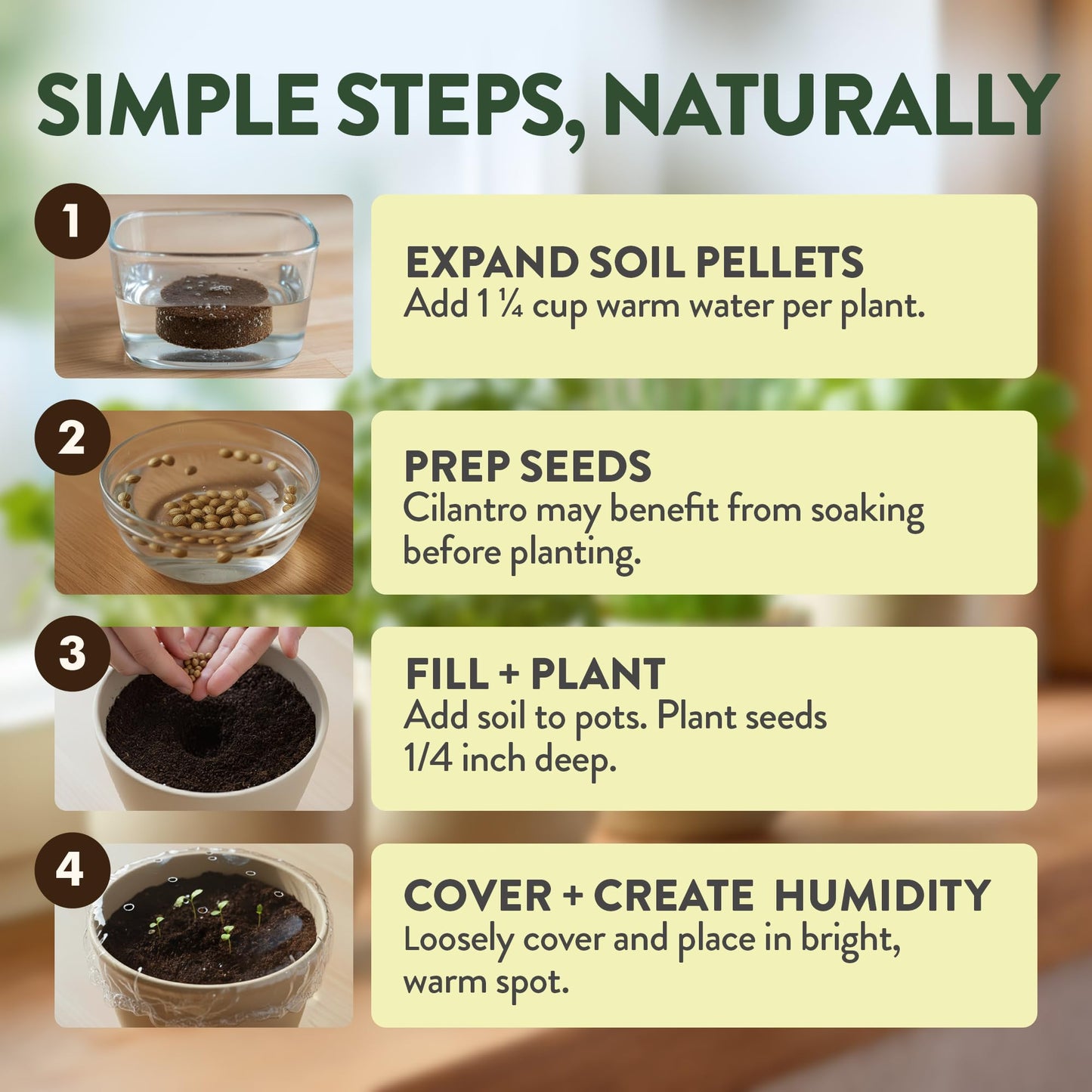 HOME GROWN Indoor Organic Herb Garden Kit, Unique Valentines Day Gift for Adults, Men, & Women,Grow 4 Herb Seeds for Kitchen Window Garden,Beginner DIY Hobby Gardening for Plant Lovers, Mom & Dad