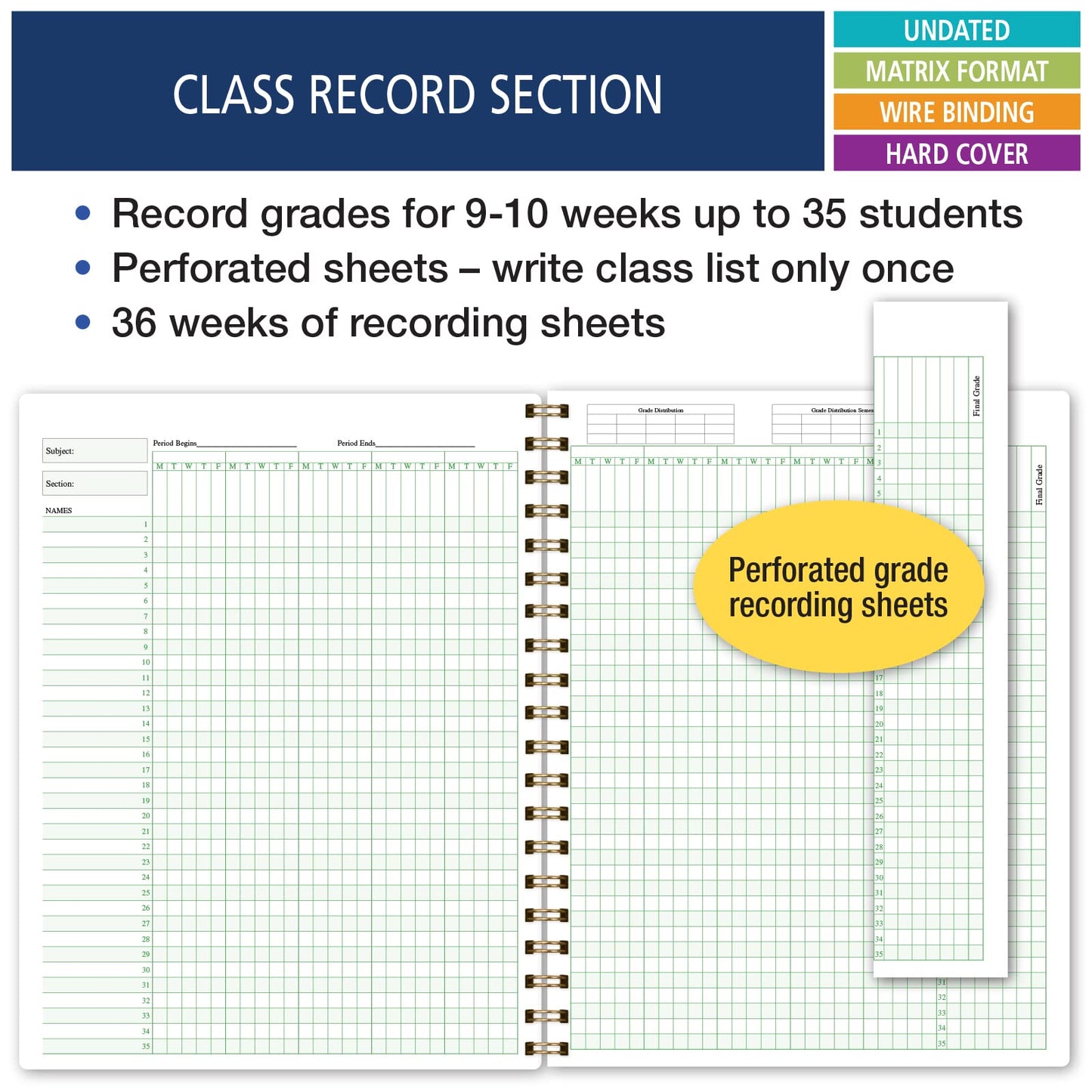 Elan Publishing Company HARDCOVER Combination Plan and Record Book - 8 Period Teacher Lesson Planner (Rainbow Gold Marble)