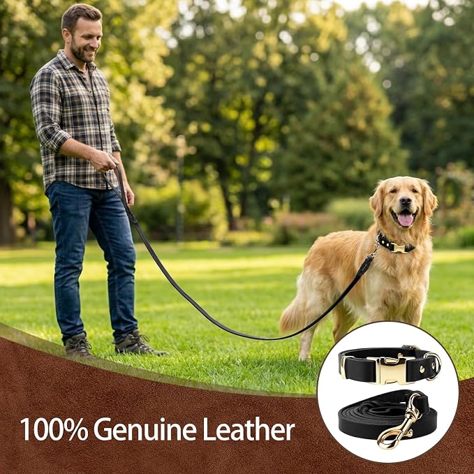 Leather Dog Collar and Leash Set, 6FT Heavy Duty Leather Training Leash with Adjustable Dog Collar, Soft and Durable Dogs Leashes and Collars Set for Small Medium Large Dogs (Black, M)