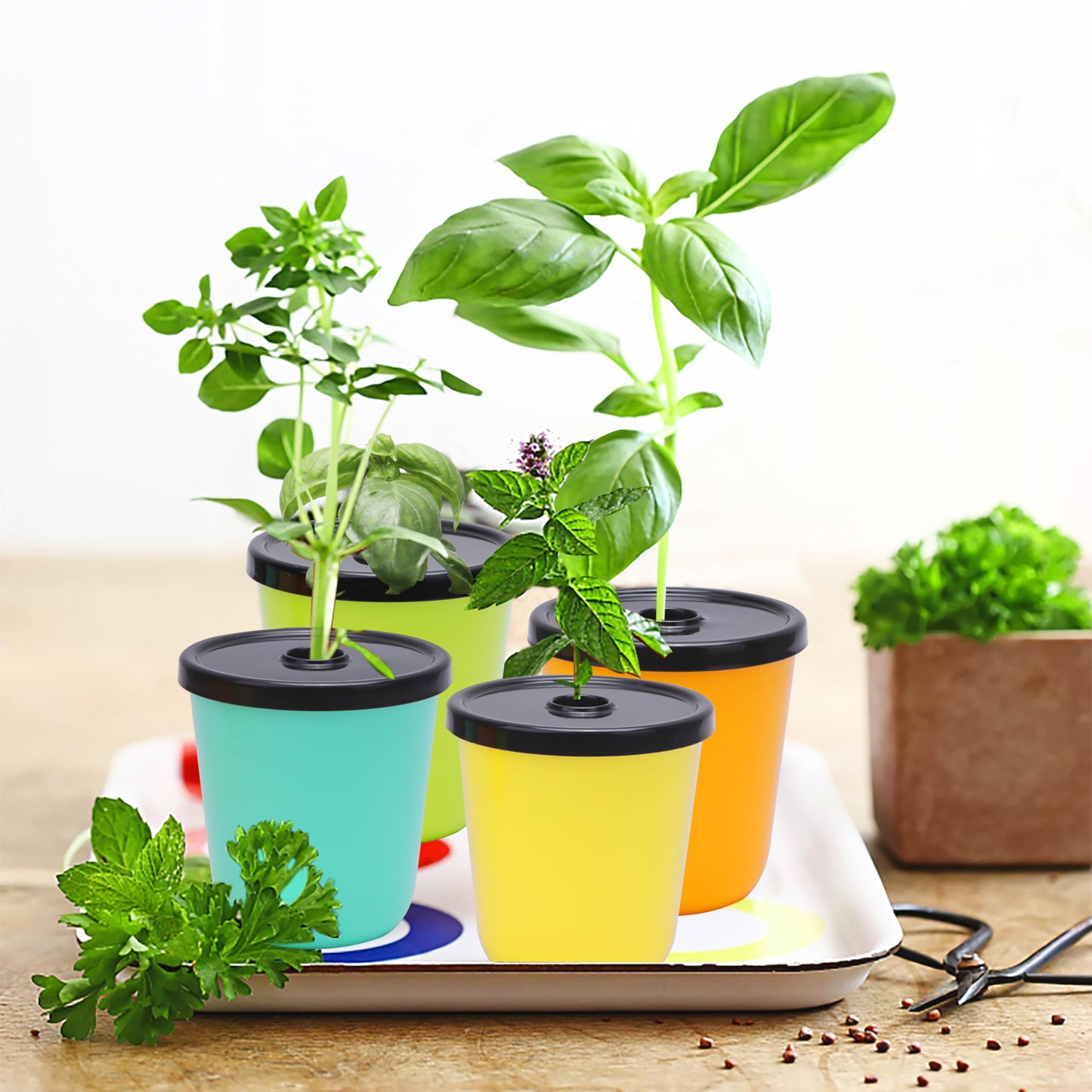 Kiicii Kratky Method Hydroponic Planter Kit, 8 Hydroponic Planter Plus 24 Growing Sponges for Herbs, Hydroponic Mini Buckets for Windowsill Herb Garden, Hydroponic Growing System for Vegetables