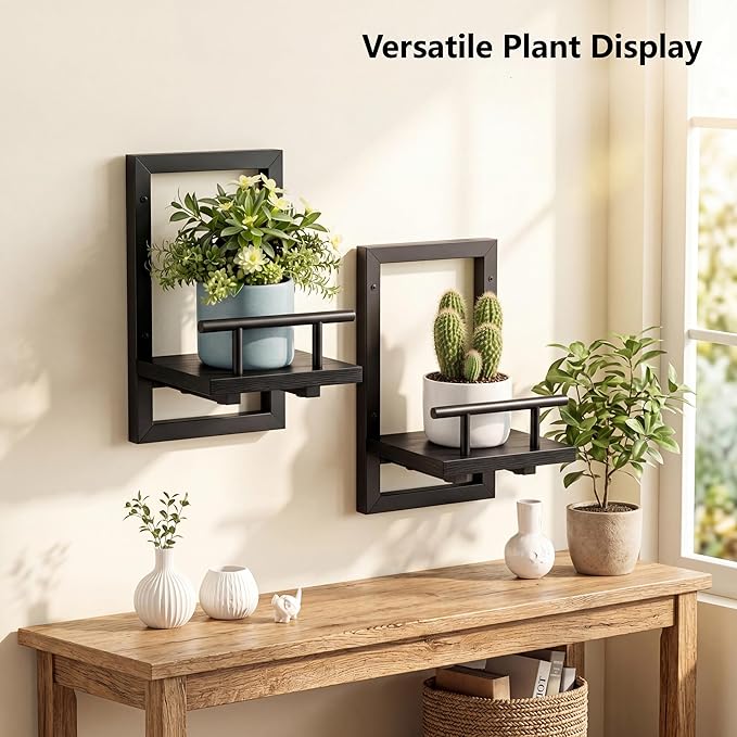 Sbosbo Floating Shelves for Wall, Plant Shelf Indoor, Wall Planters for Indoor