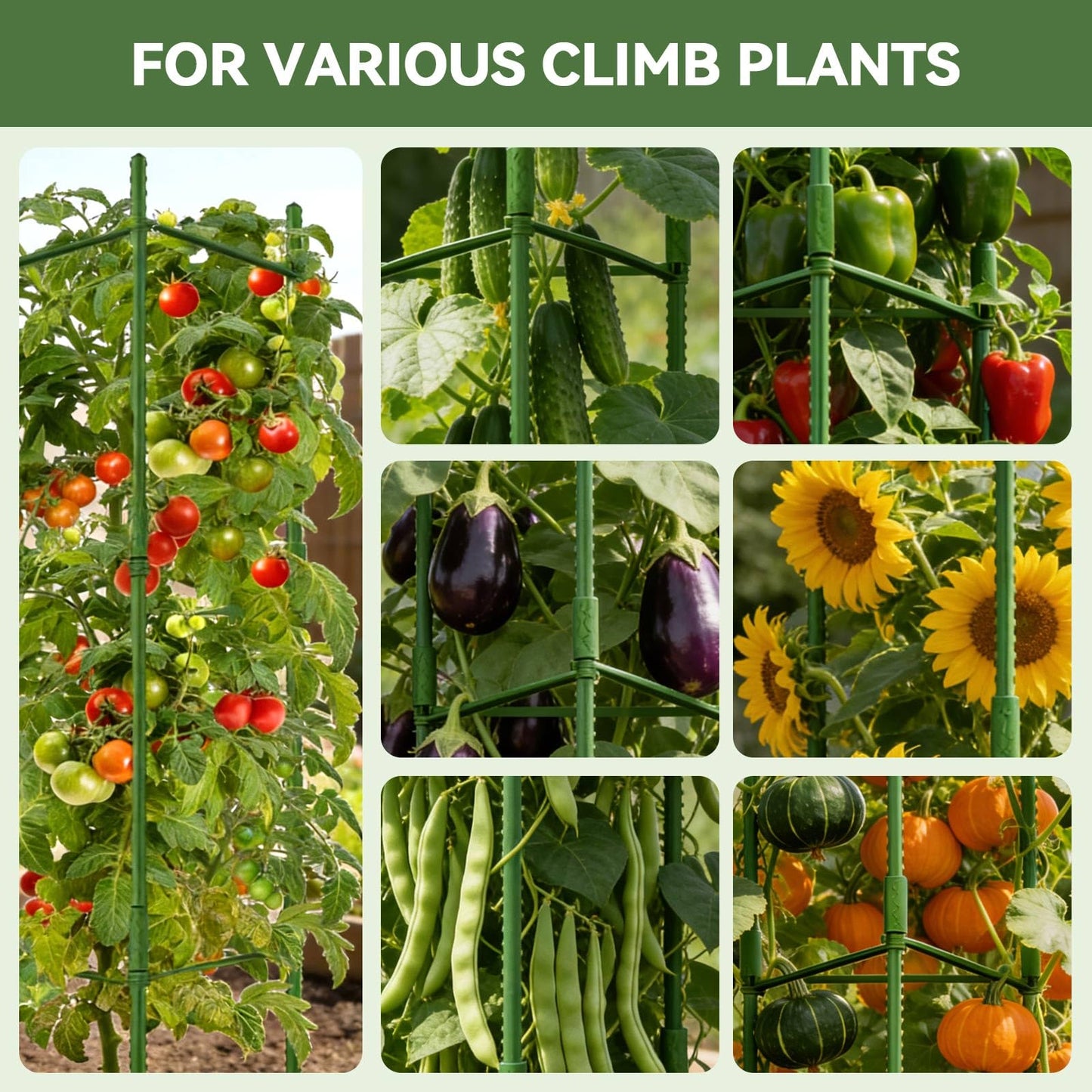Halatool 2 Pack Tomato Cages for Garden, Up to 48in Adjustable Tomato Cage, Garden Stakes Tomatoe Trellis for Pots, Tomatoes Plant Support for Raised Garden Bed & Climbing Vegetables Flowers