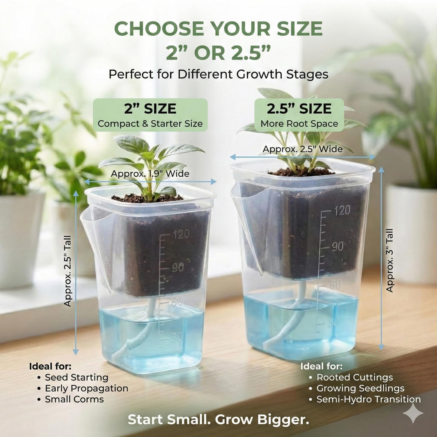 12 Pack 2" Clear Self Watering Pots with Wick System, Water Level Indicator & Drainage Hole, Consistent Moisture for Seedlings, Cuttings, Alocasia Corm & African Violet, 12 Plant Labels Included