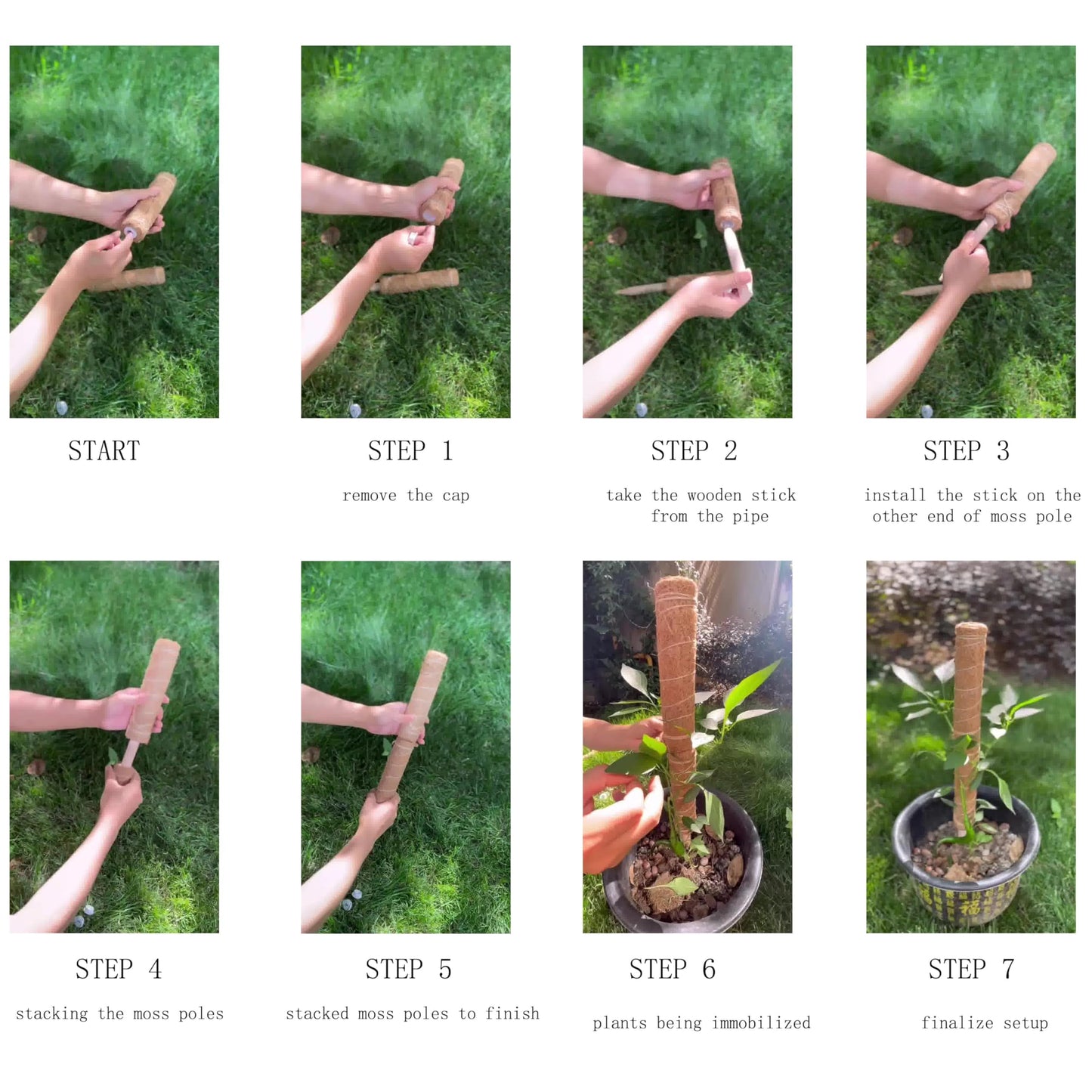 4 PCS 12 Inch Moss Pole Support Sticks for Monstera Plants, Ideal for Climbing and Potted Plants, Coir Moss Poles for Indoor Plant Growth Upwards