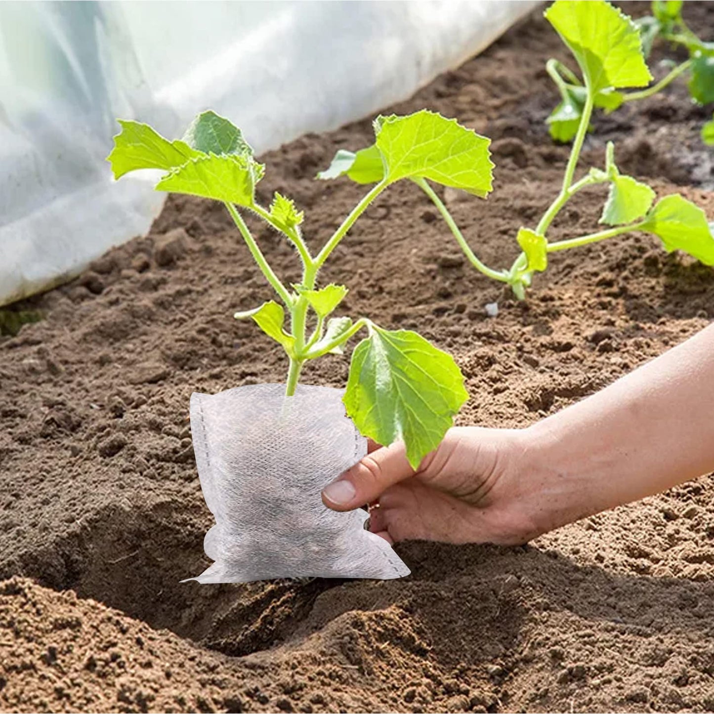 Tarklanda 100pcs Grow Bags,Biodegradable Non-Woven Plant Nursery Bags Plant Fabric Seedling Pots Bags Plants Home Garden Supply (7.8 * 11.8)