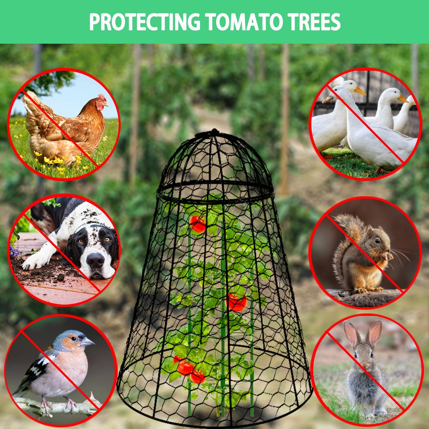 Garden Cloches for Plants Extra Large Sapbontchi Garden Cloche Chicken Wire Cloche for Plants Cages Cover Plant Protectors from Animals in Outdoor Vegetable Garden Set of 6 Plant Cloche 20" H x 12" D