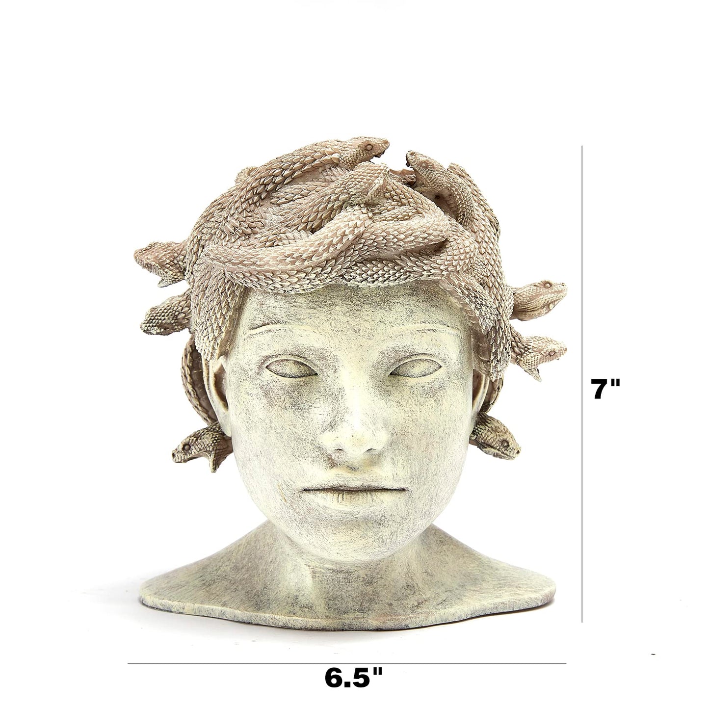 Medusa Head Planter Large Stone Face Planter Pot Garden Statue Outdoor Flower Pot Waterproof Sculpture Greek Mythology Garden Decor Handmade Art Sculpture Unique Gift for Patio Yard Lawn Home Decor