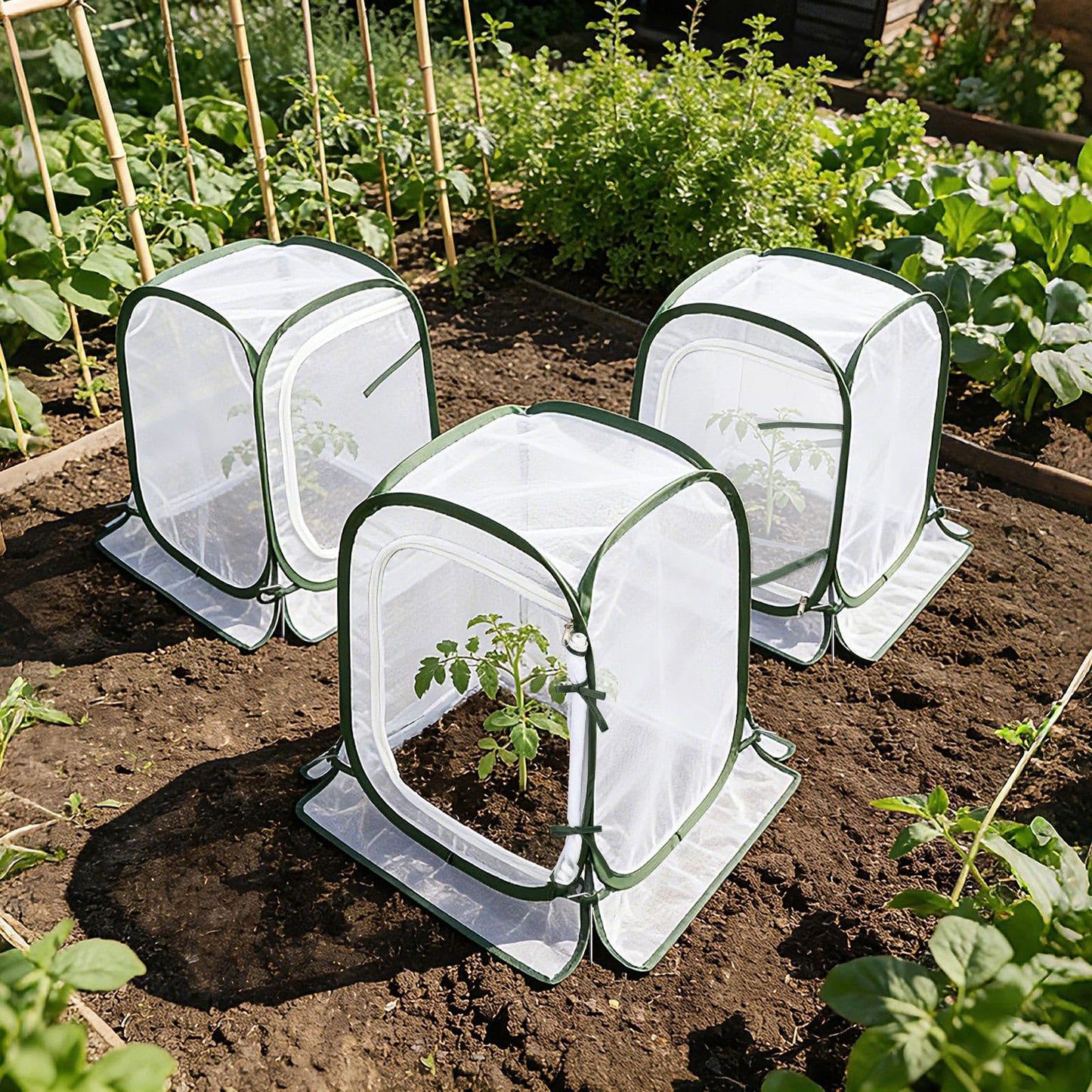 Augshy 3 Pack Pop Up Plant Covers Plant Protectors Tent Mesh Plant Protectors from Animals and Birds Garden Net Cage with Stakes for Protect Outdoor Plants Vegetables Flowers Shrubs 13"x13"x20"