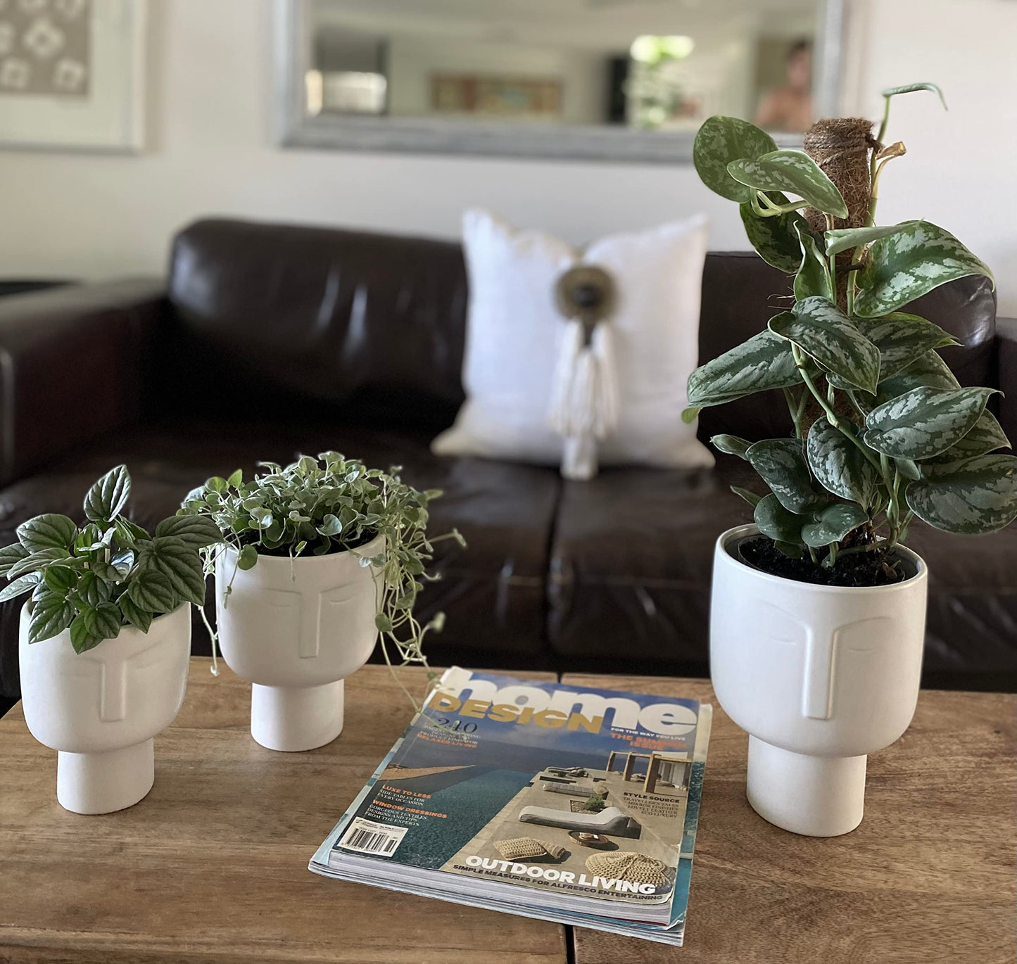 Planters for Indoor Plants - Tall 7 Inch Ceramic Self Watering Pots Matte White Plant Pot with Drainage & Inner Pot Face Vase Or Head Planter Unique Face Pots for Plants. Medium 5.5 Inch Wide