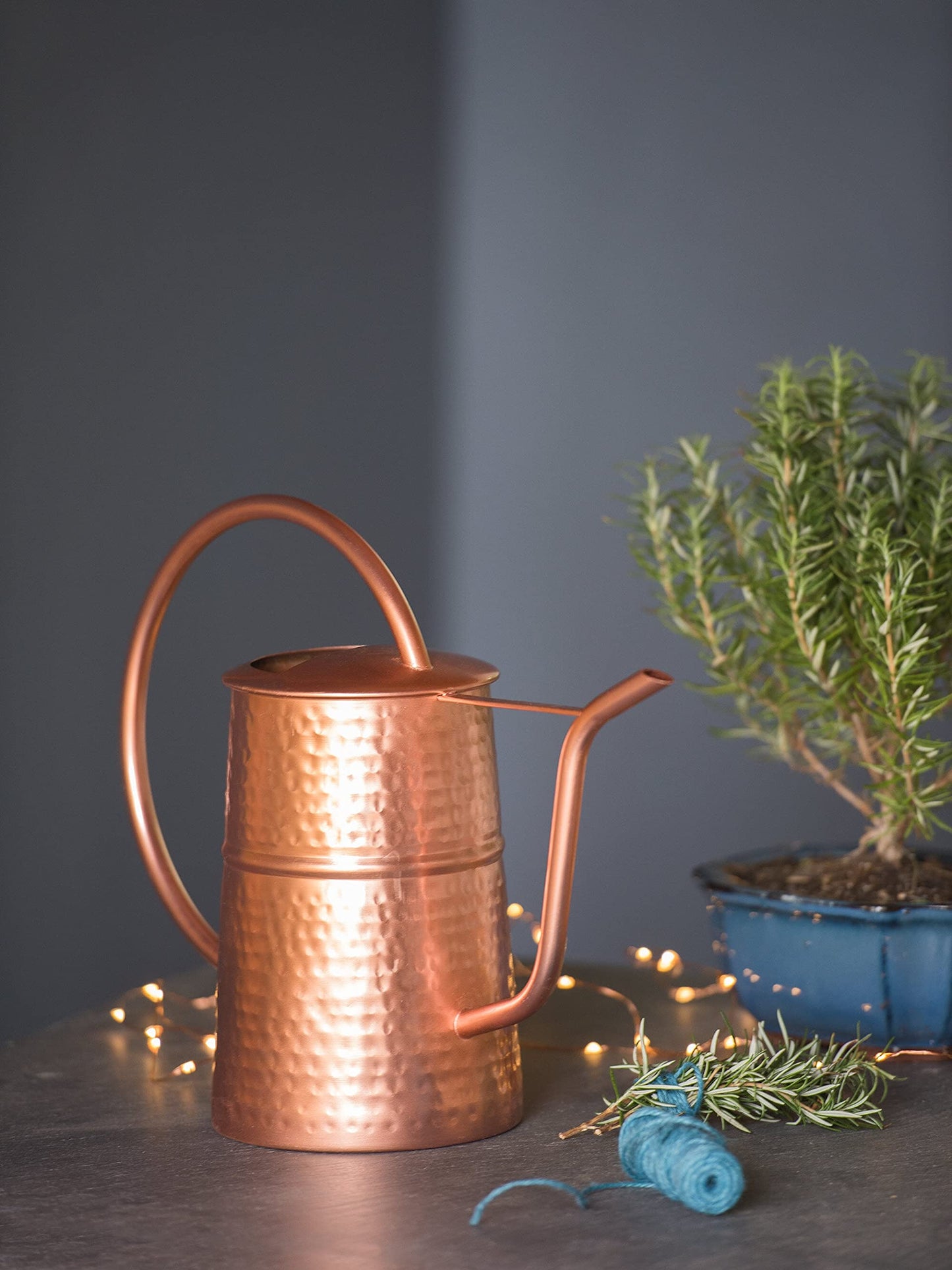 Gardener’s Supply Company Copper Plated Indoor Watering Can | 3 Quart Water Capacity, Decorative Copper-Plated Steel with Easy Pour Curved Spout for Houseplants, Succulents, Seeds, and Herbs
