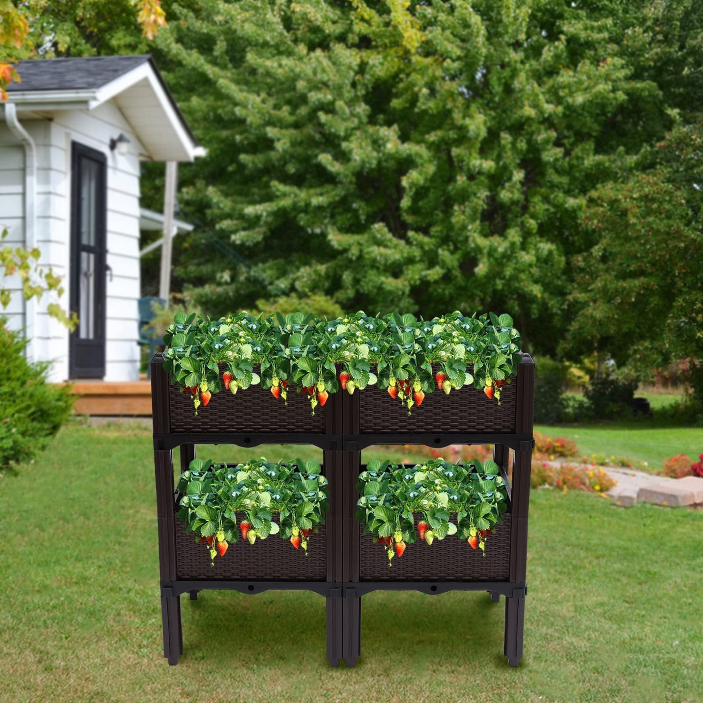Raised Garden Bed Raised Elevated Garden Bed Planter Box Kit Vegetables Outdoor Plant Herbs, Self-Watering Plastic Planter for Indoor Outdoor Vegetables Fruits Potato Flowers All Weather