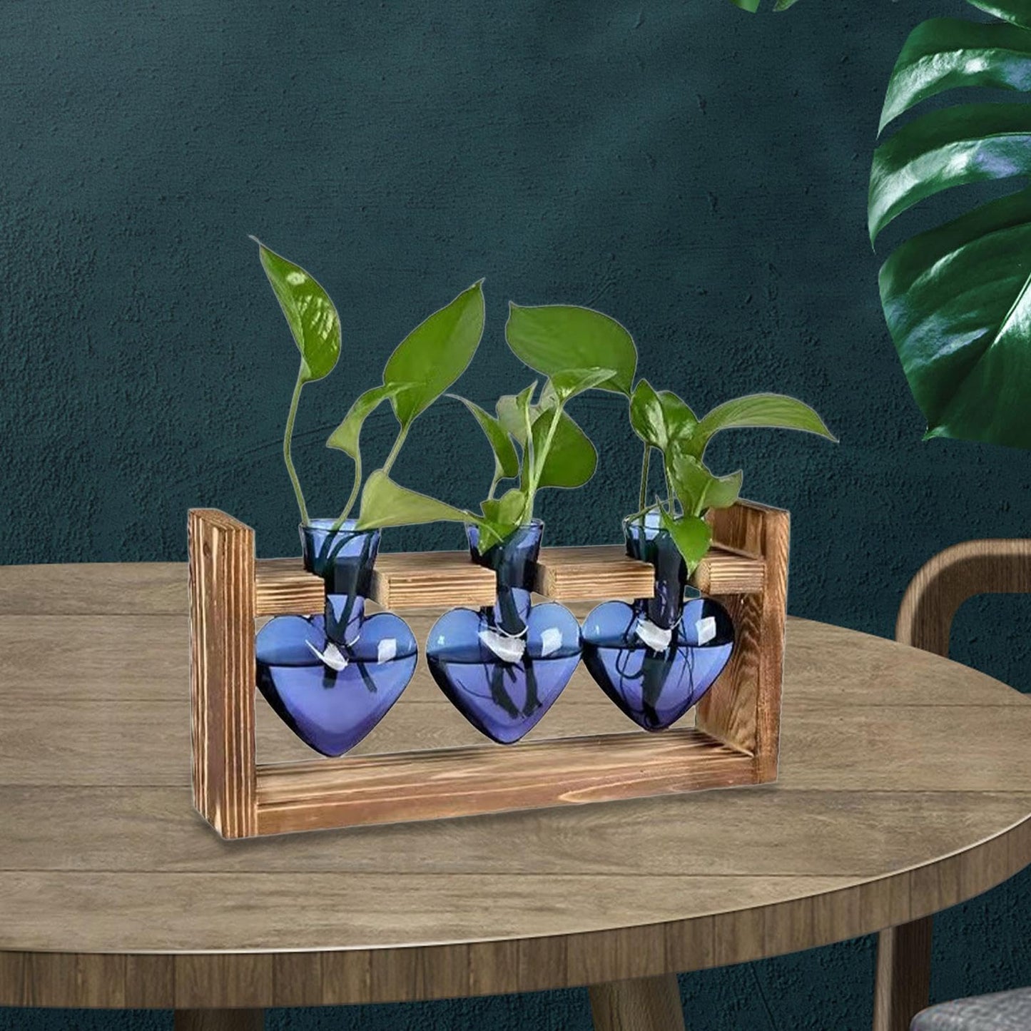 BooGaeio 3 Pieces Hydroponic Vase Glass Flower Vase with Wooden Stand Tabletop Planter Plant Terrarium Decorative Vase Multipurpose Plant Propagation, Blue
