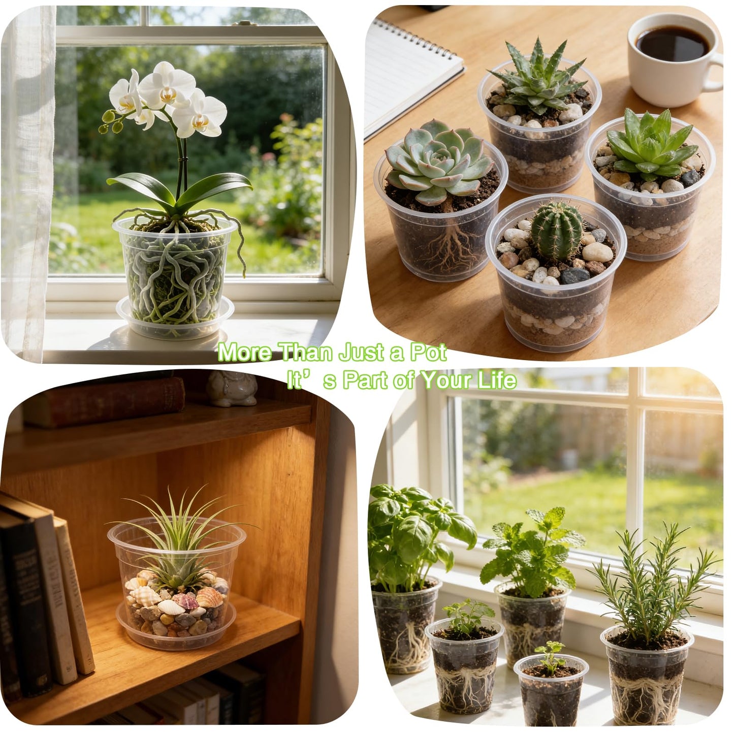 24 Pack Clear Nursery Pots for Plants, 4/5/6 Inch Plastic Plant Pots with Drainage Holes and Saucers, Transparent Orchid Pots for Indoor Plants, Seedlings, Cuttings, Repotting and Root Observation