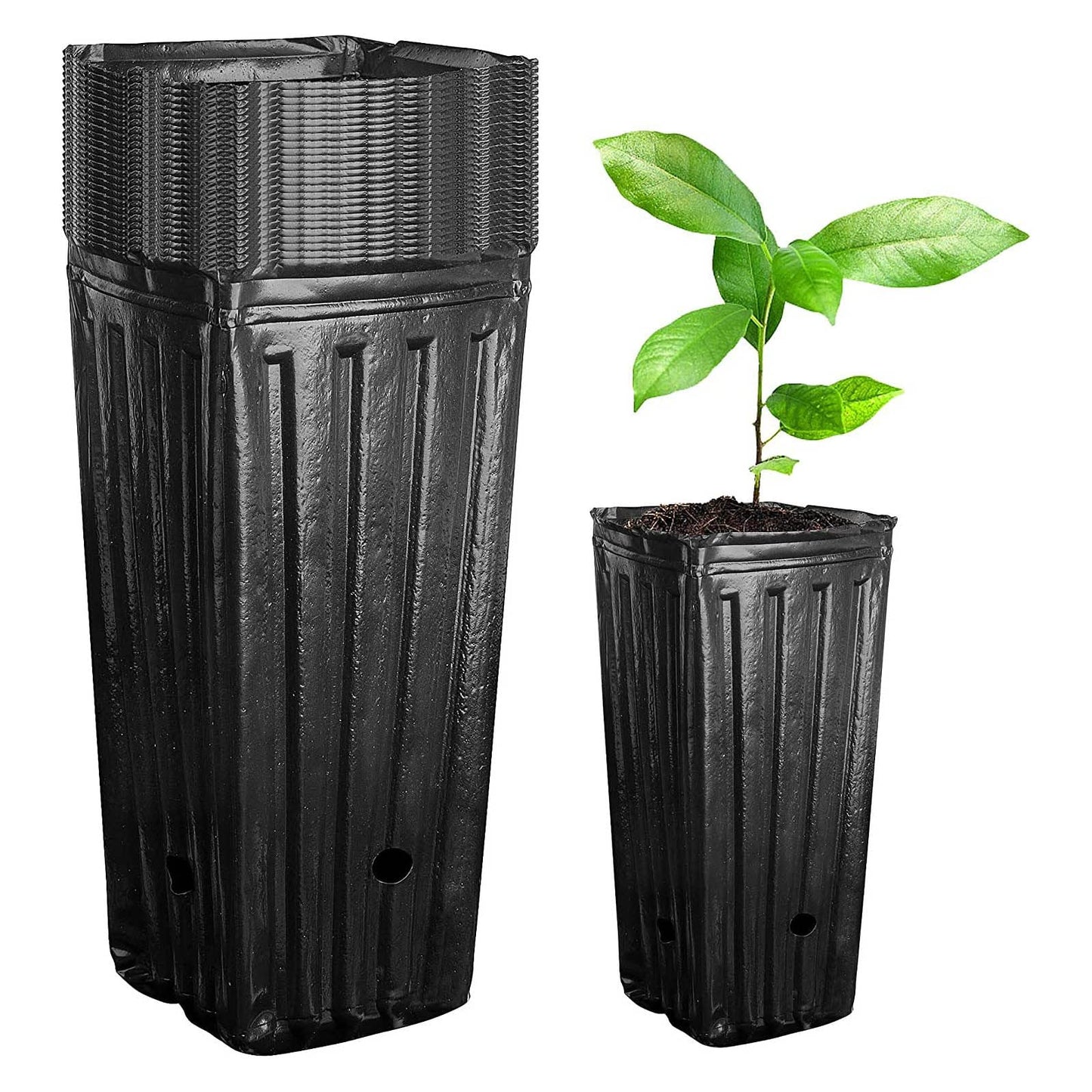TOPINCN Deep Tree Pot Nursery Pots Outdoor Indoor Garden Seedlings Container Plants Treepots Tree Pots Flowers Plastic Container Pots Tall 20Pcs for Jar Nursery Baby Outside Kid Nursery