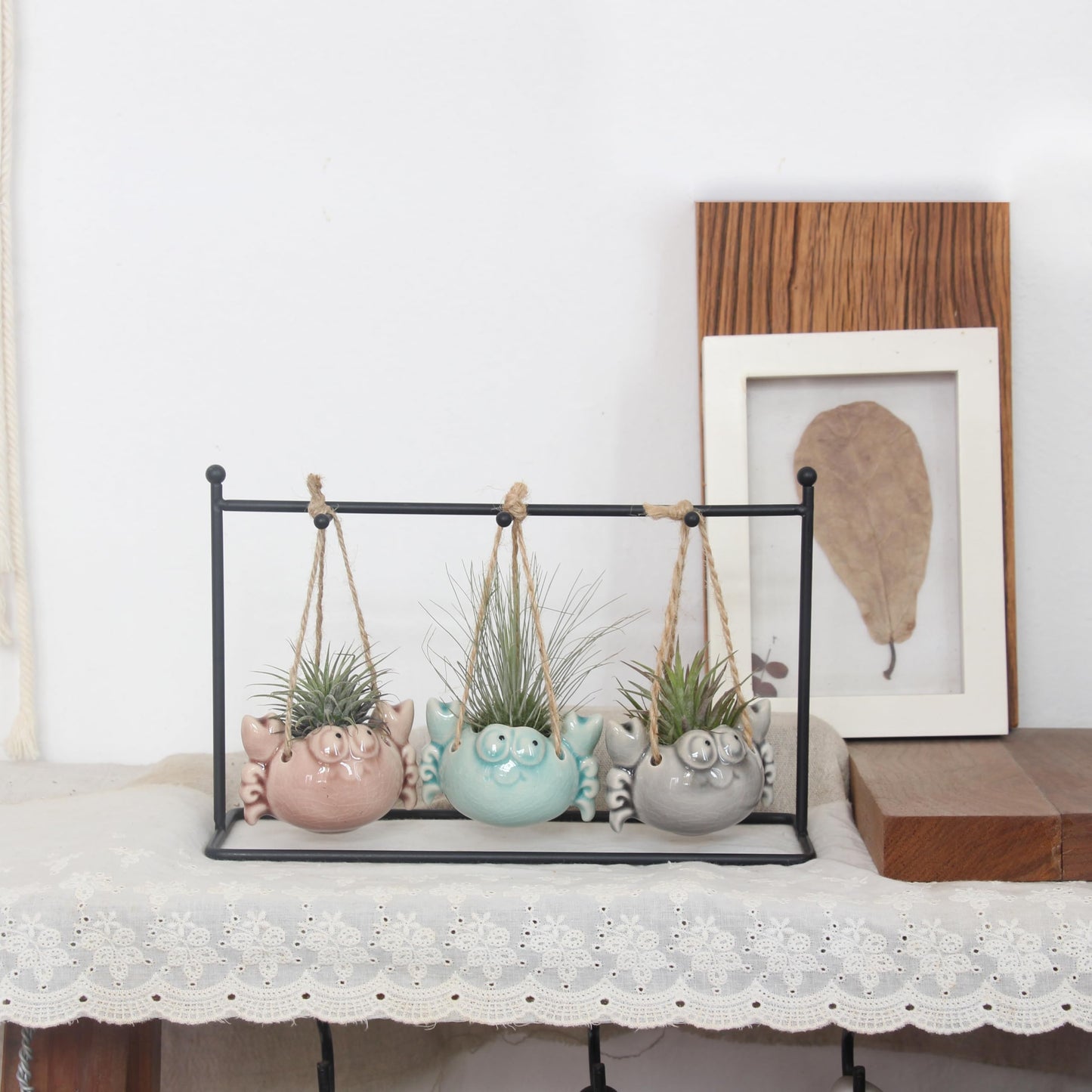 Gniliny 8 Pack Ceramic Air Plant Cradle with Rack: Indoor/Outdoor Hanging Planters - Air Plant Display Container for Home Office Garden